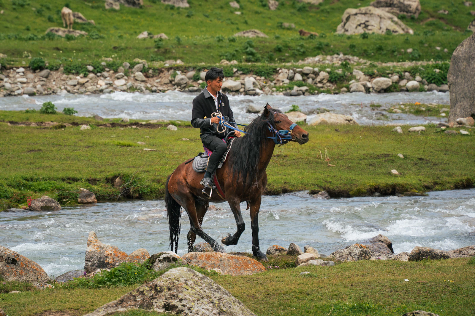 Cesar Trail