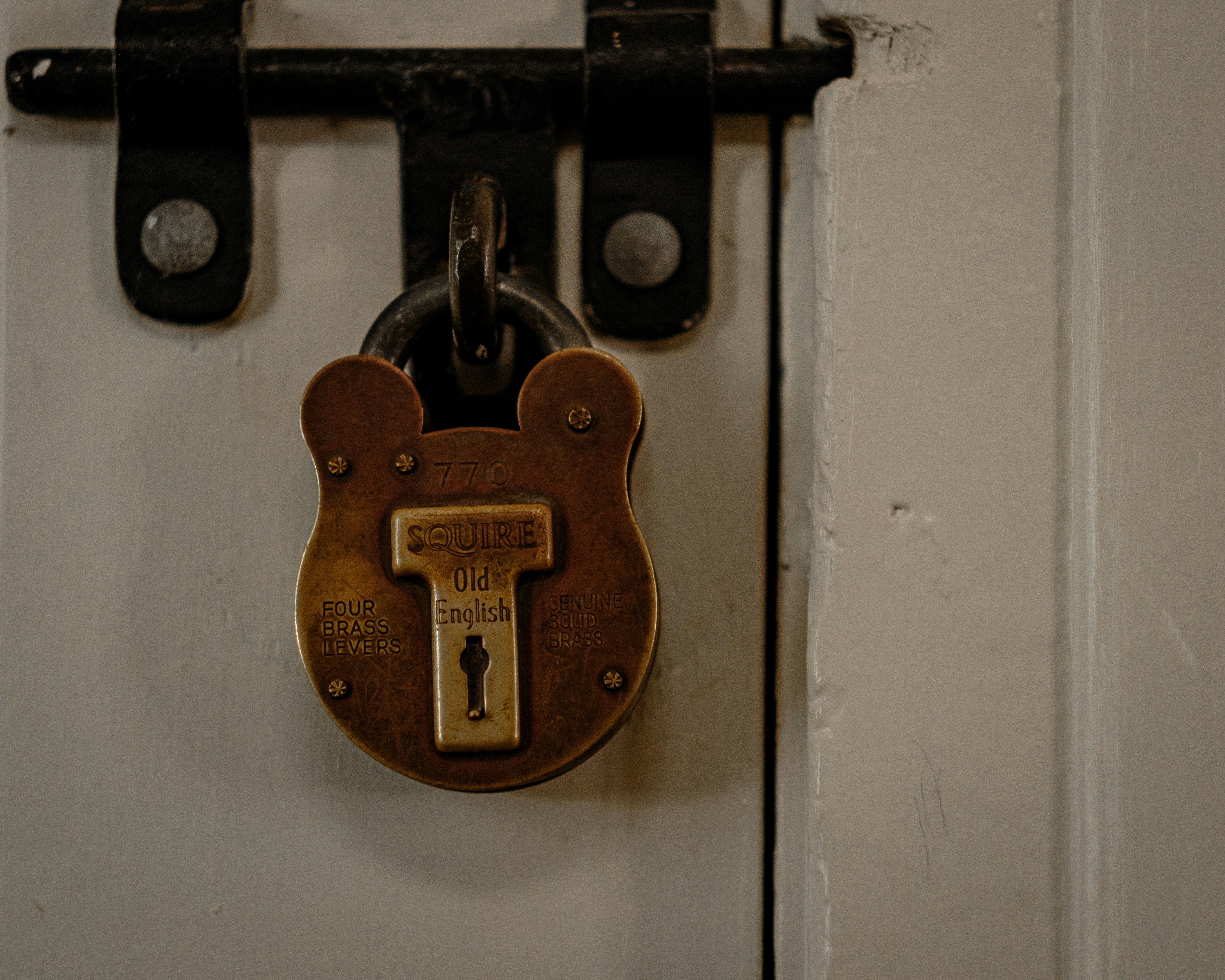 A deadbolt fitted to a timber door