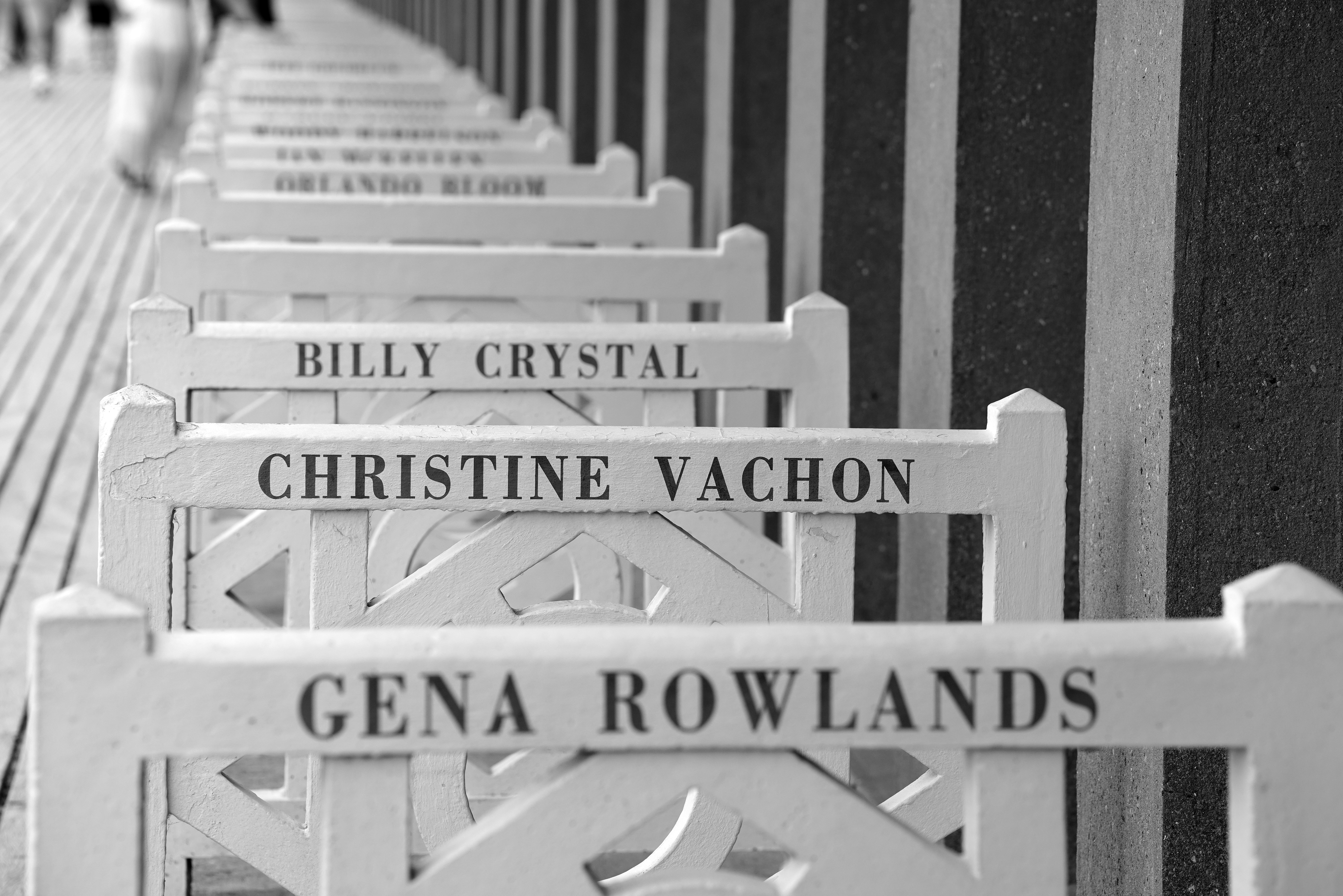 A row of white wooden benches with names printed on the backrests