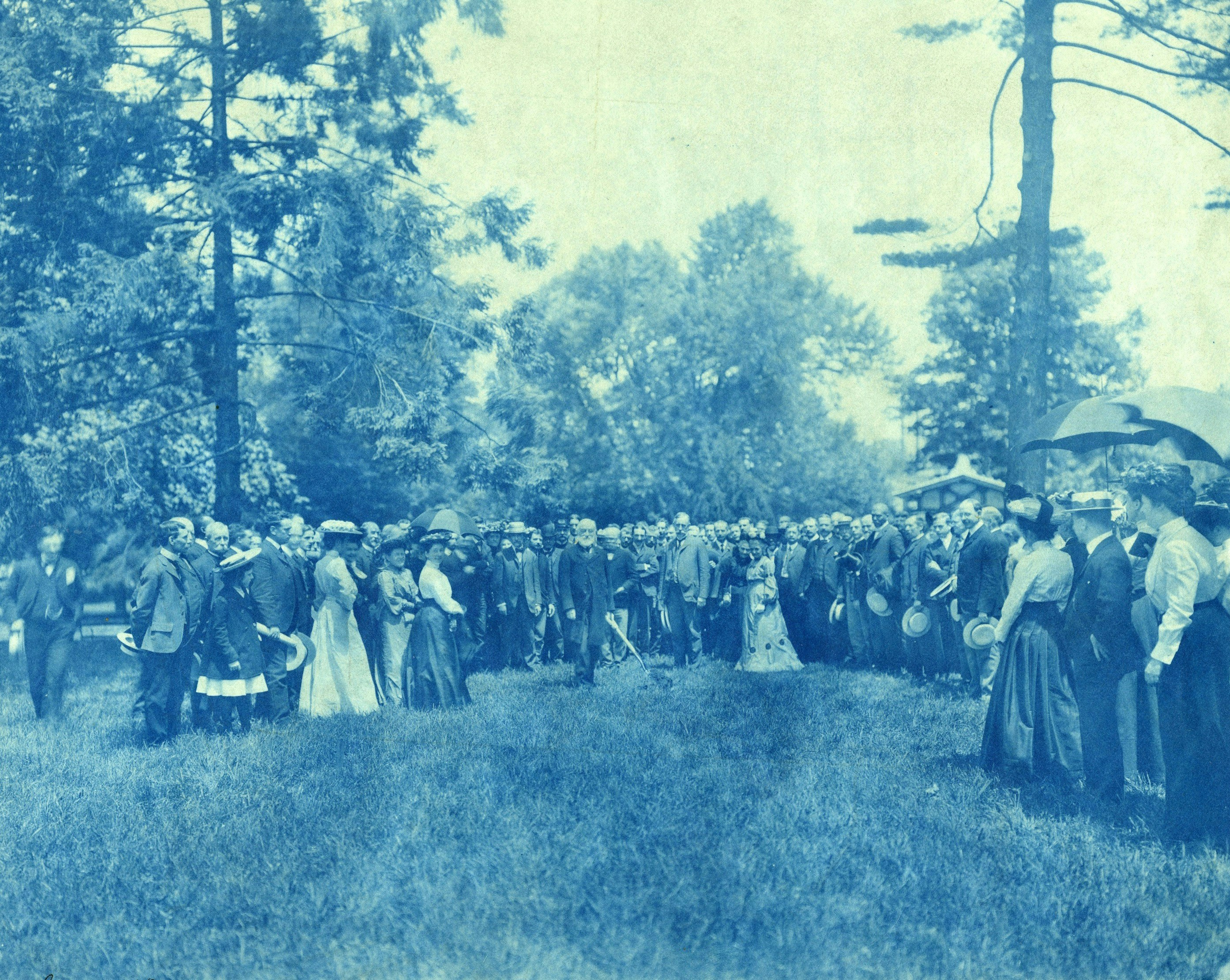 A large group of people gathered in a grassy park under tall trees