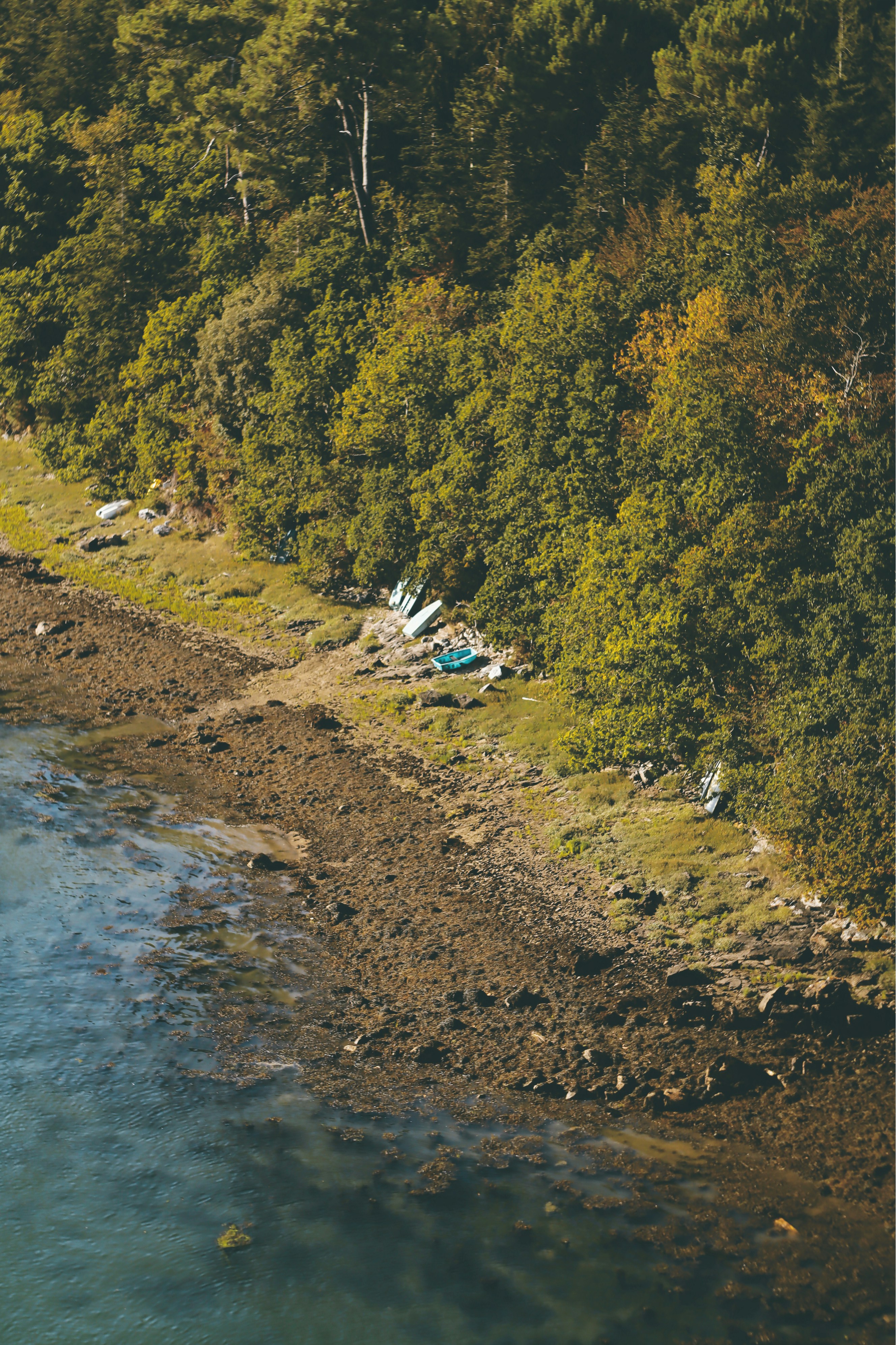 Le Bois Sauvage — Saint-Agrève