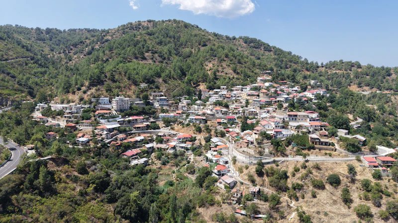Forested Troodos mountain slopes on the road to Kykkos Monastery, Cyprus