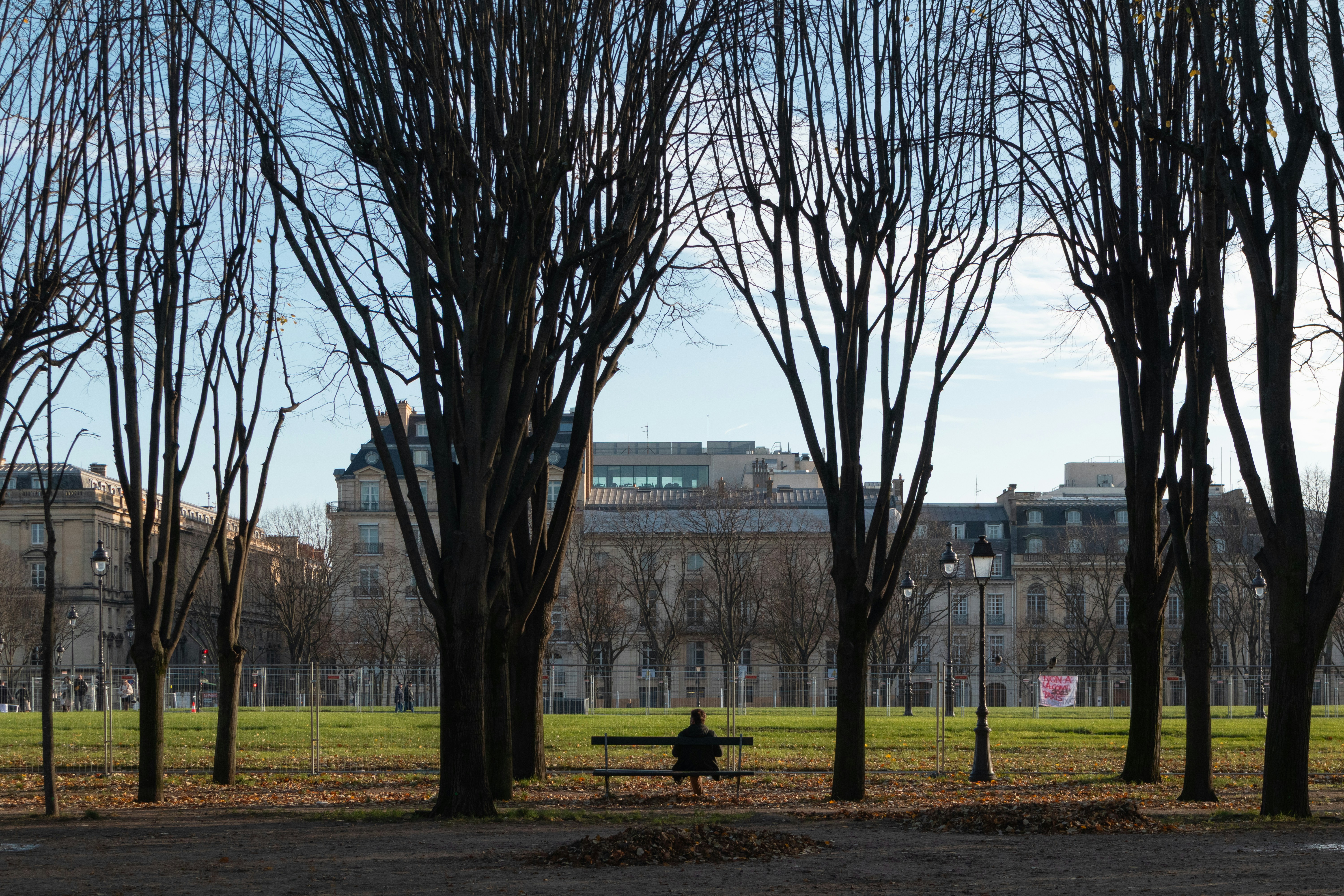 A person on a bench in a park with bare trees in Paris
