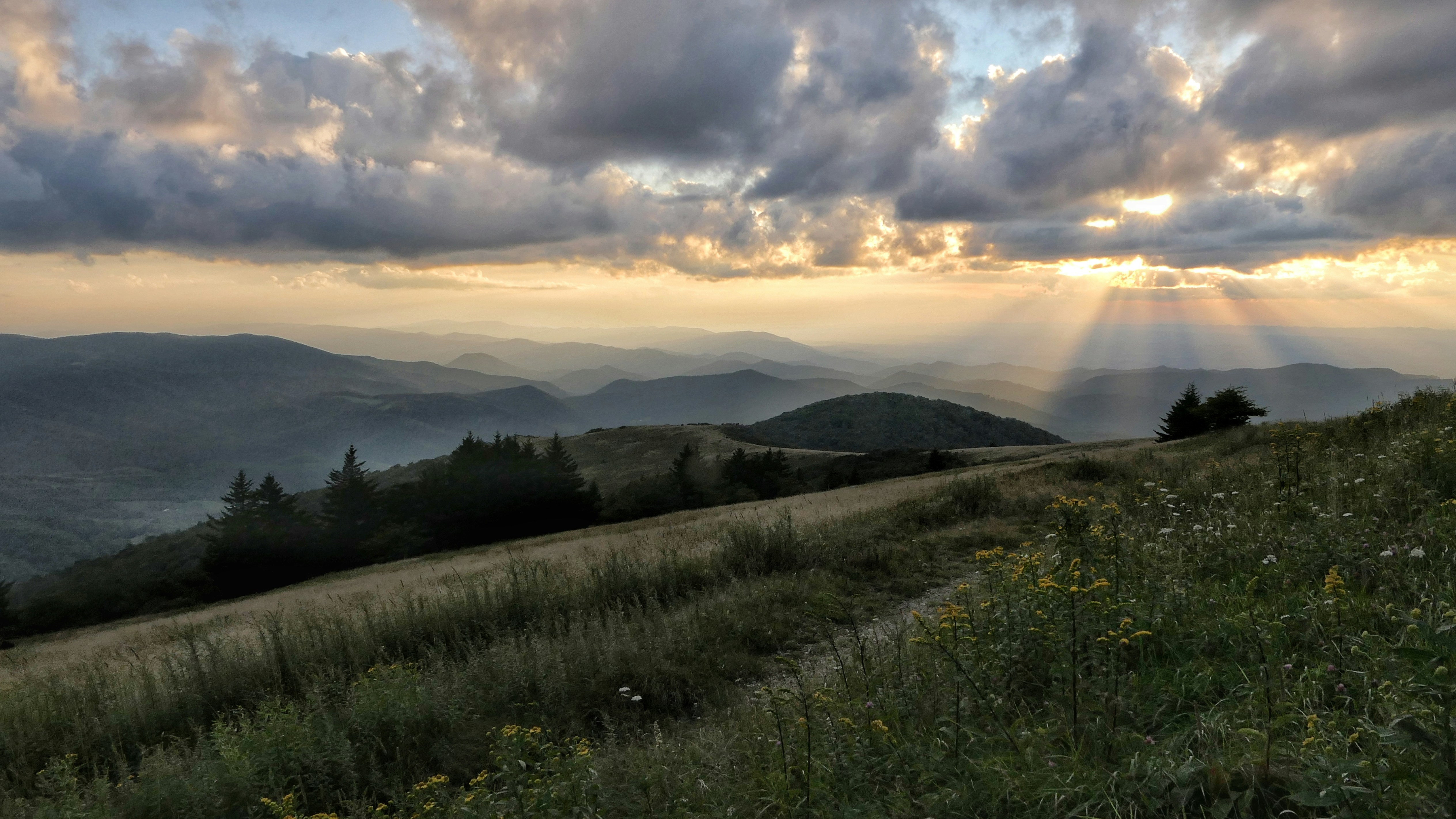 Un pendio erboso di montagna con fiori selvatici sotto un cielo con raggi solari bassi