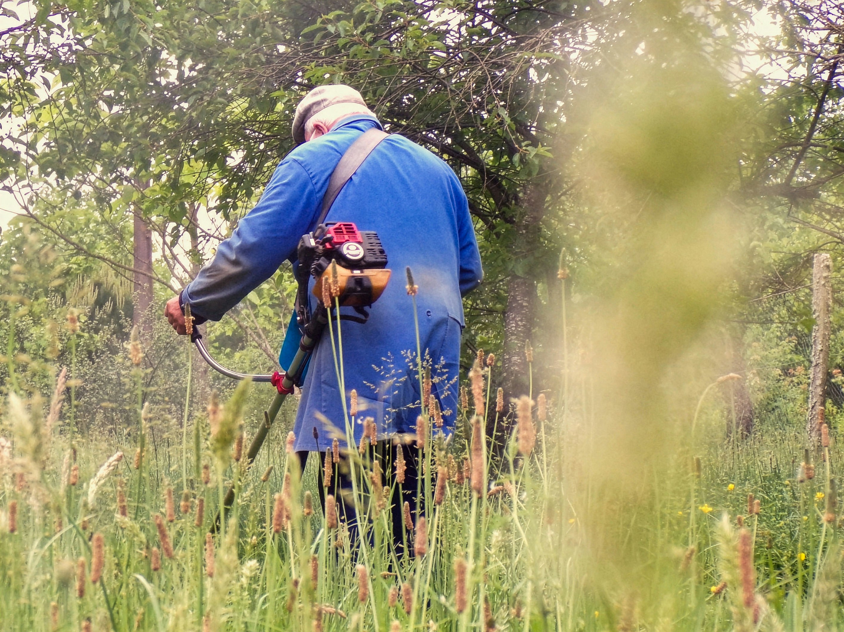 A person in a blue coat using a string trimmer in a grassy field