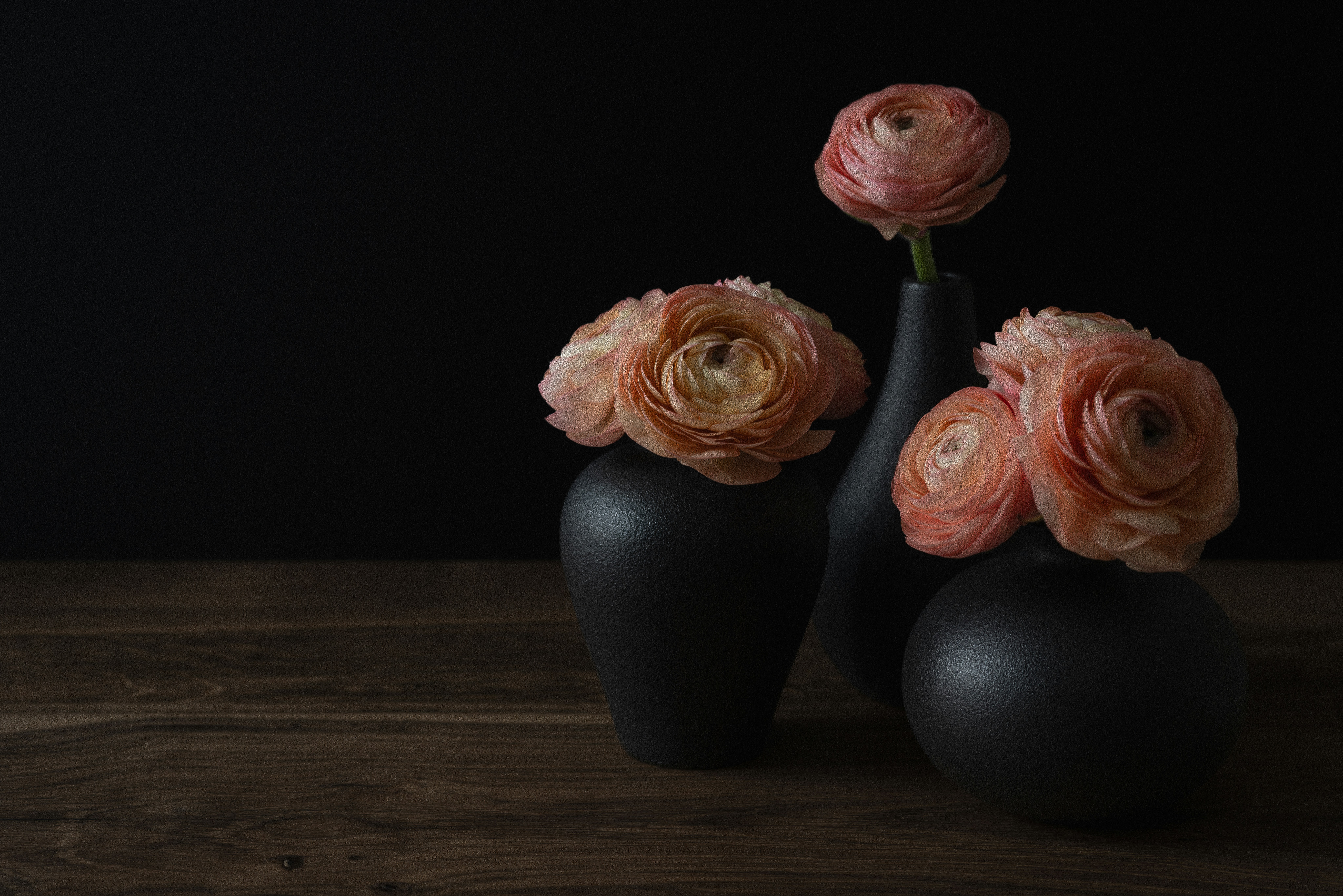 Peach ranunculus flowers in three dark ceramic vases on a wooden table