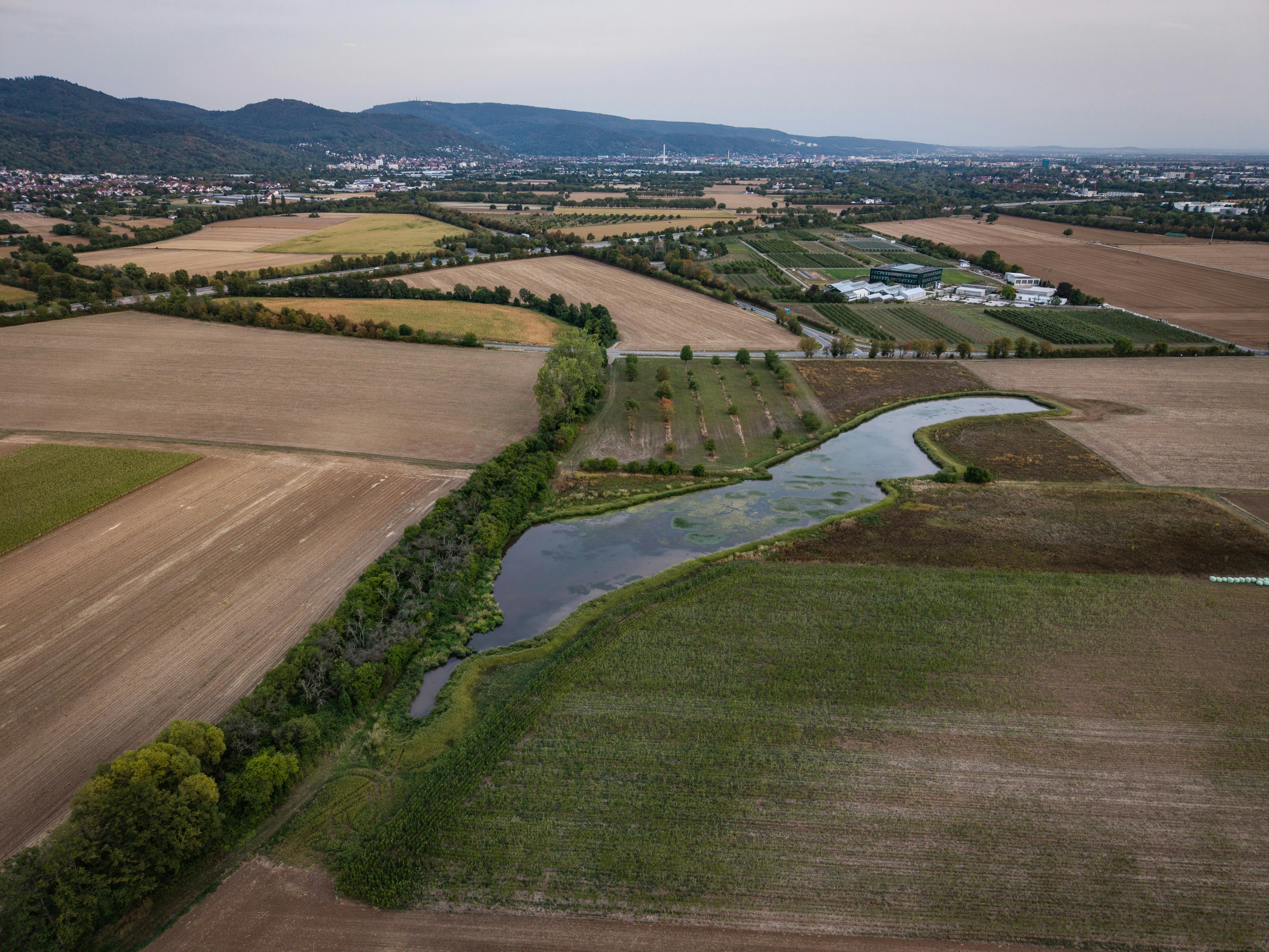 Étangs de Puisaye — Saint-Sauveur-en-Puisaye