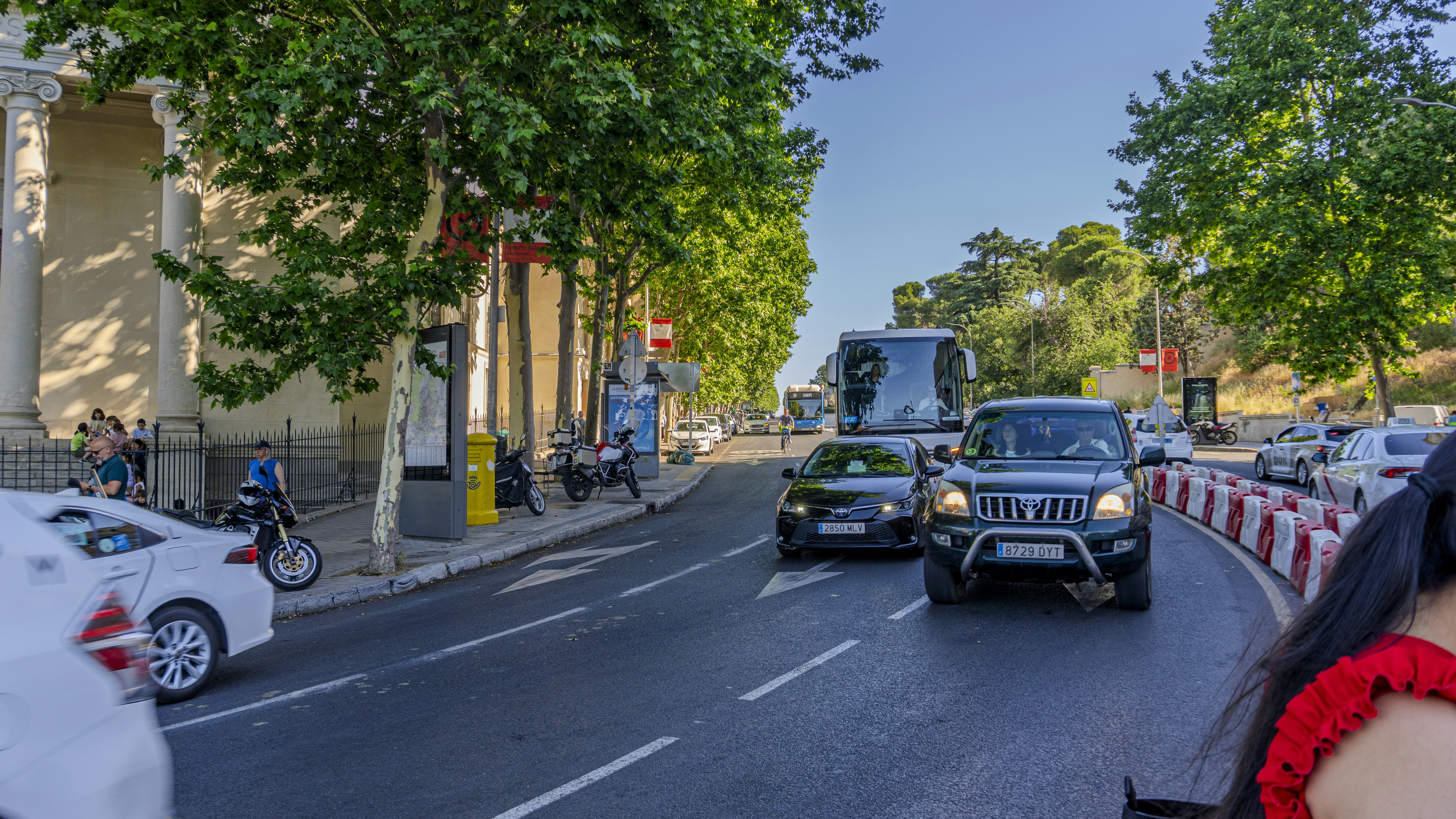 Cars and a bus driving on a tree-lined city street in Madrid