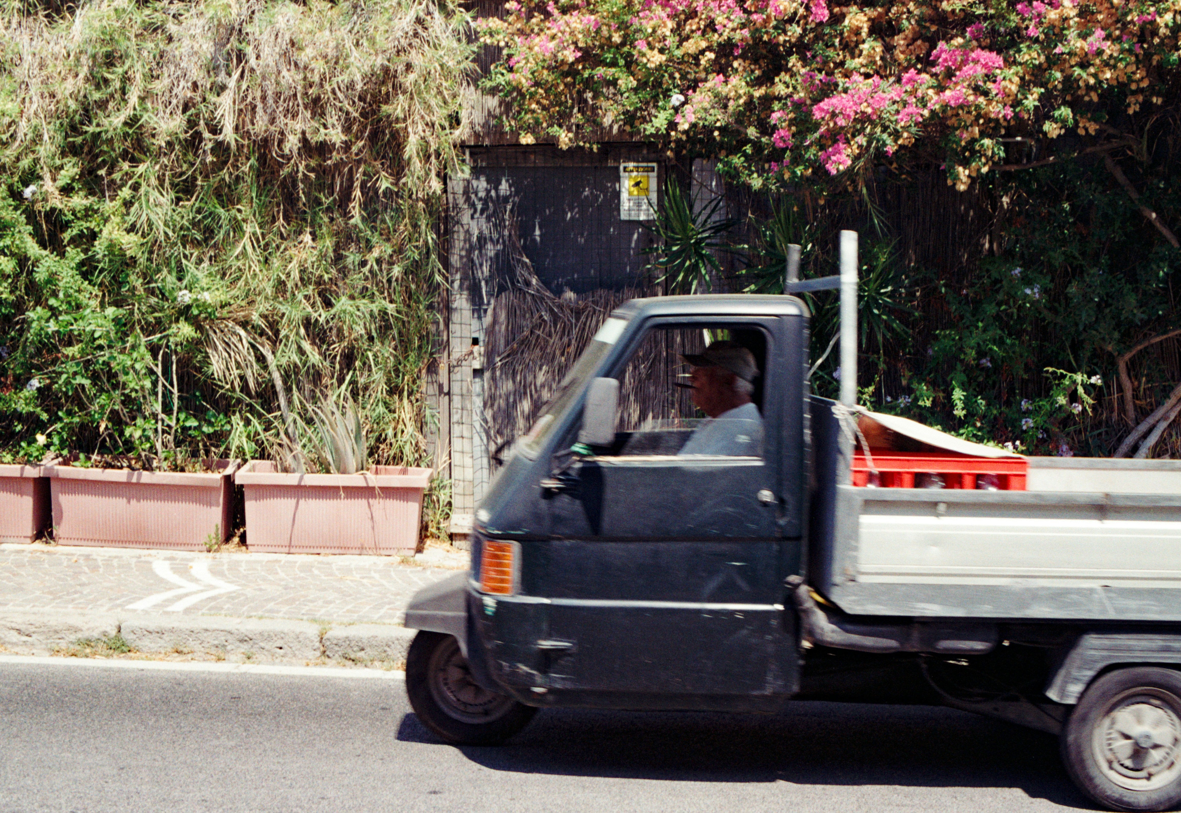 Una persona conduciendo un camión Piaggio Ape negro de tres ruedas junto a un seto florecido