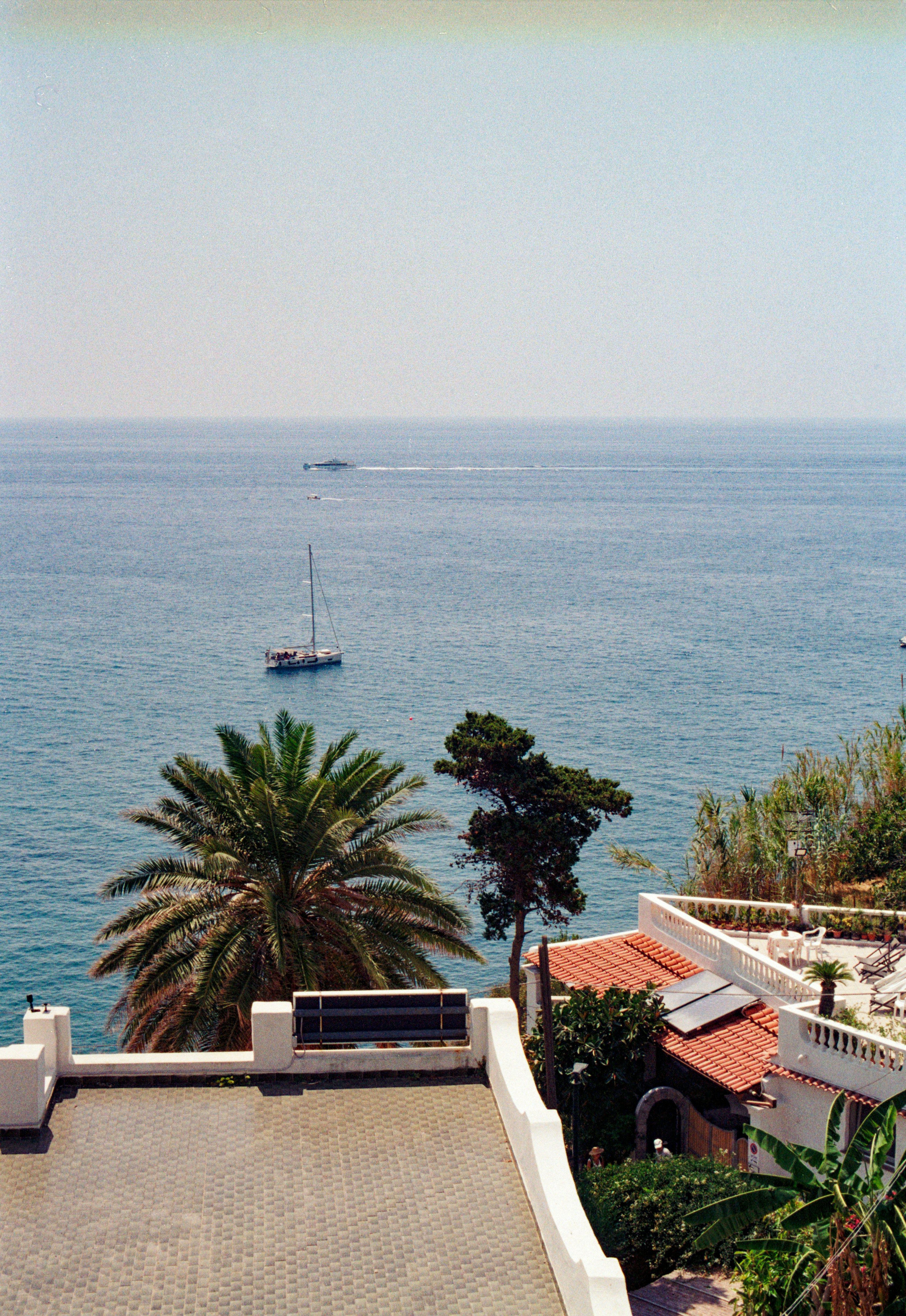 Un velero en el mar azul cerca de una terraza con una palmera