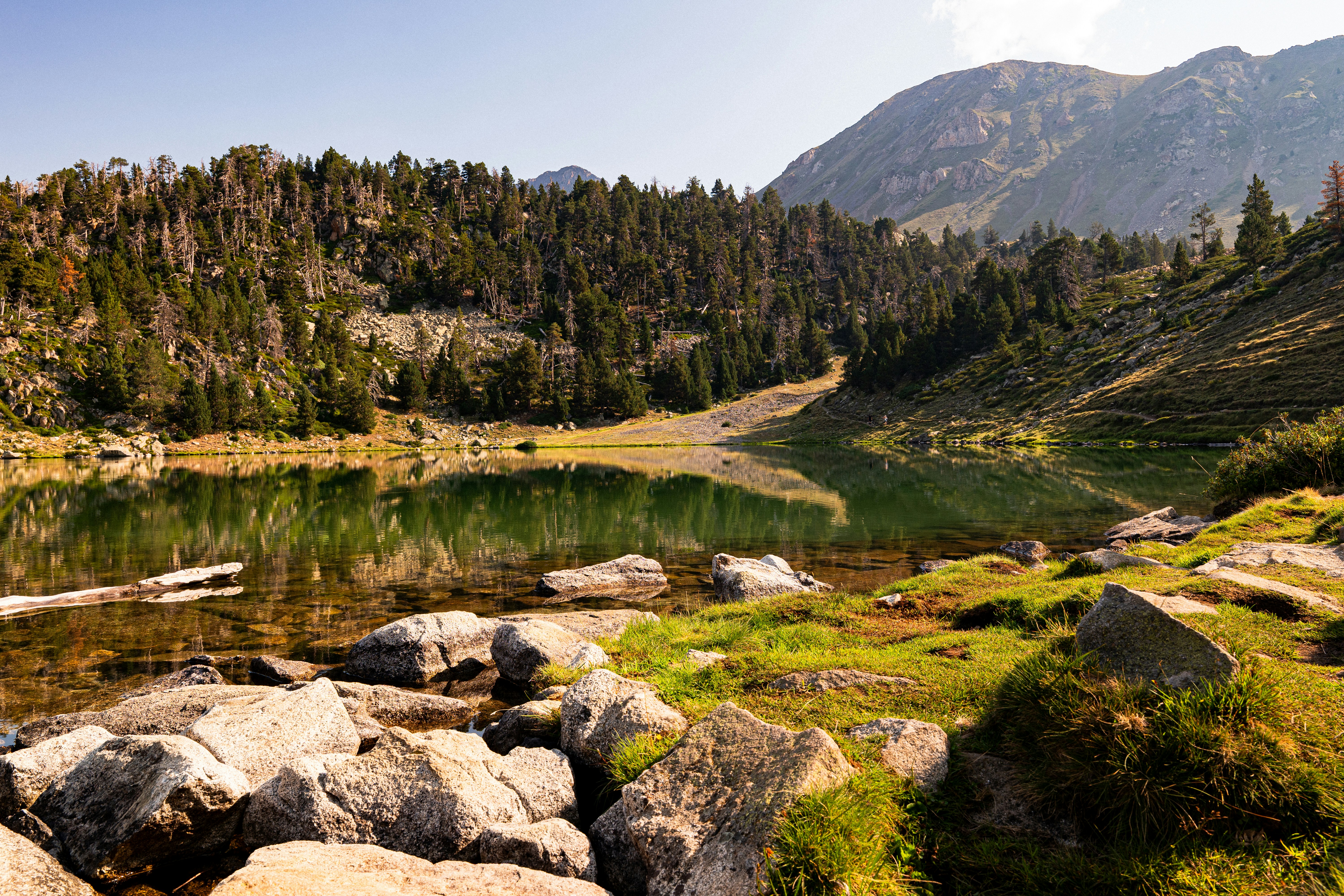 A calm mountain lake reflecting a dense pine forest and rocky peaks
