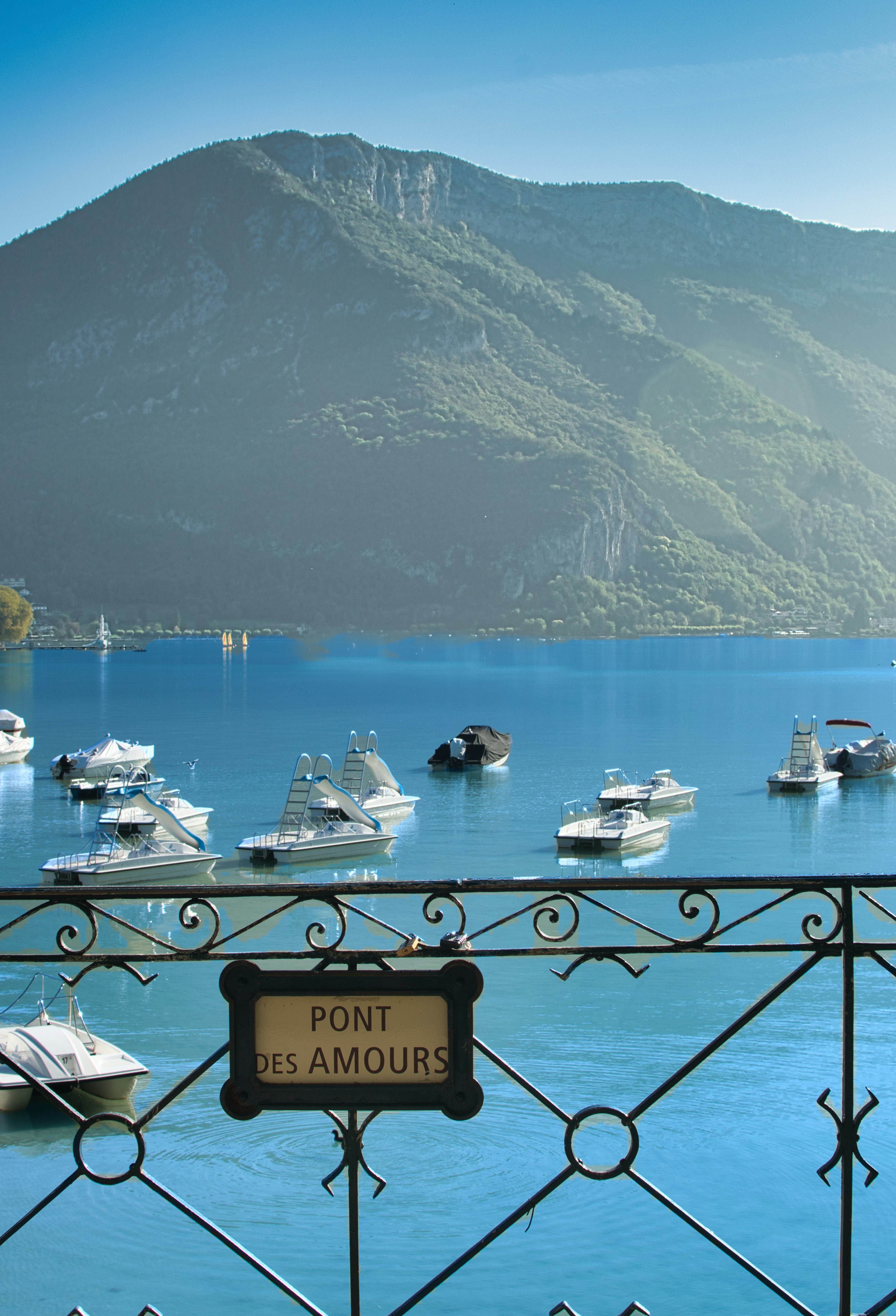 Clinique Vétérinaire du Thiou (Cran-Gevrier, Annecy) — Cran-Gevrier (Annecy)