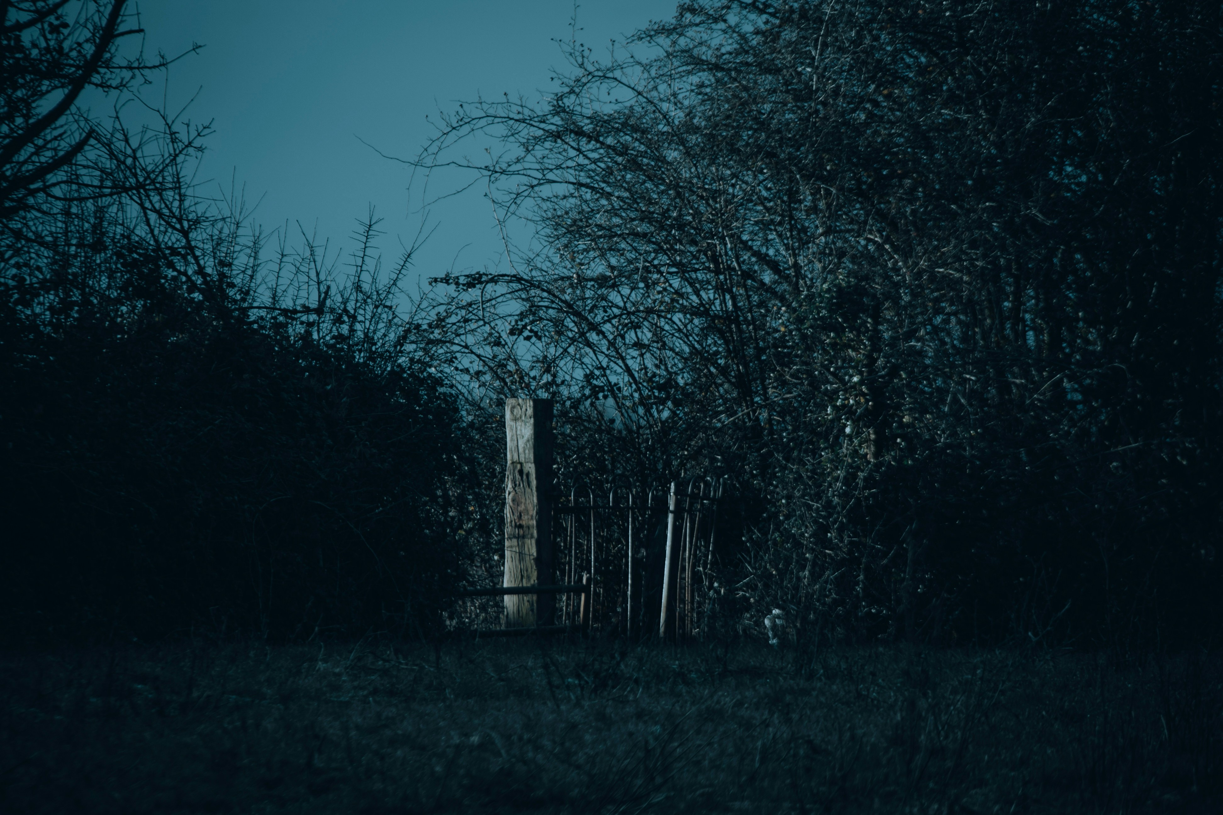 Illinois Family Transforms Their Property Into a Free Halloween Haunt