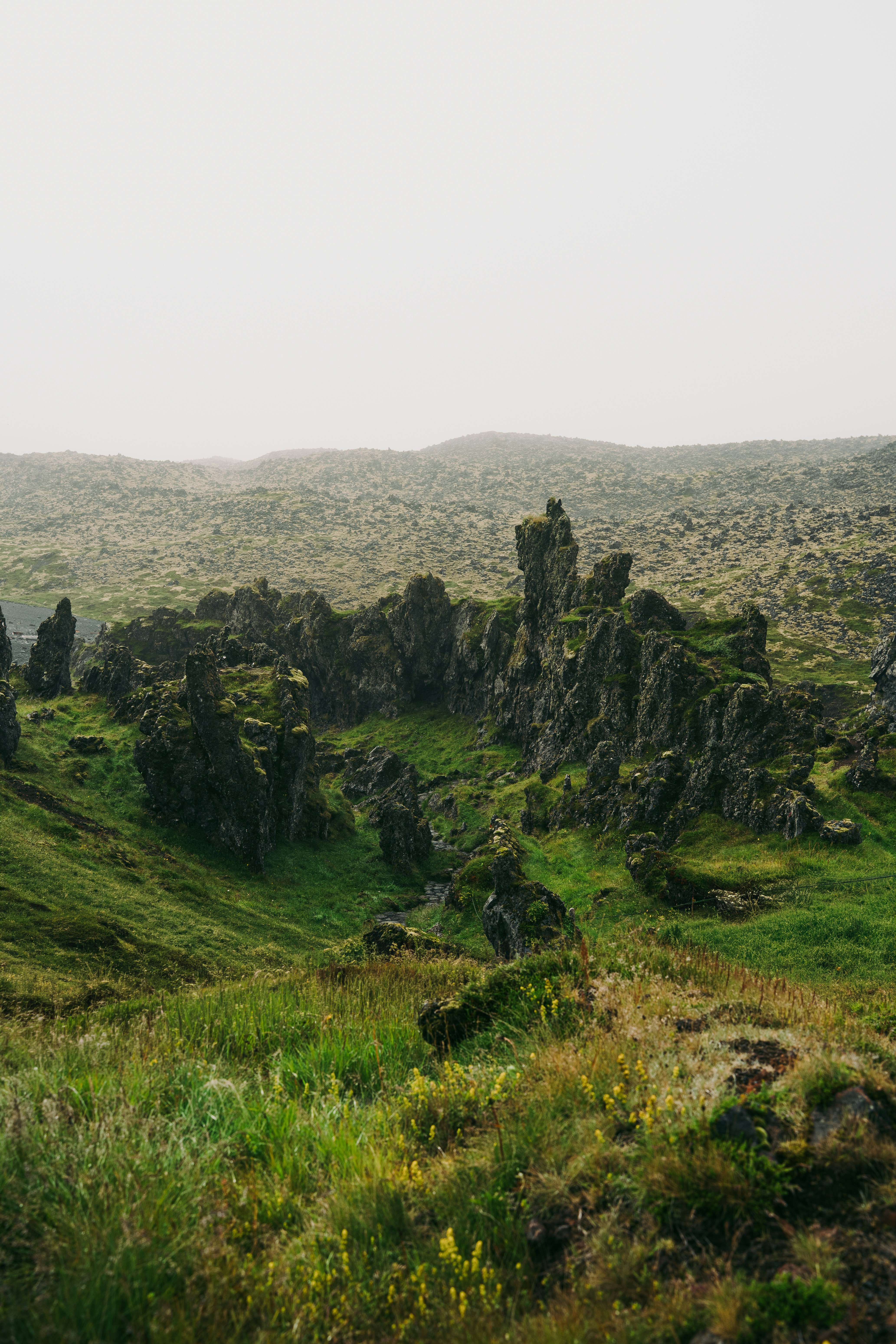 Jagged dark rock formations rising from a green mossy valley under overcast skies