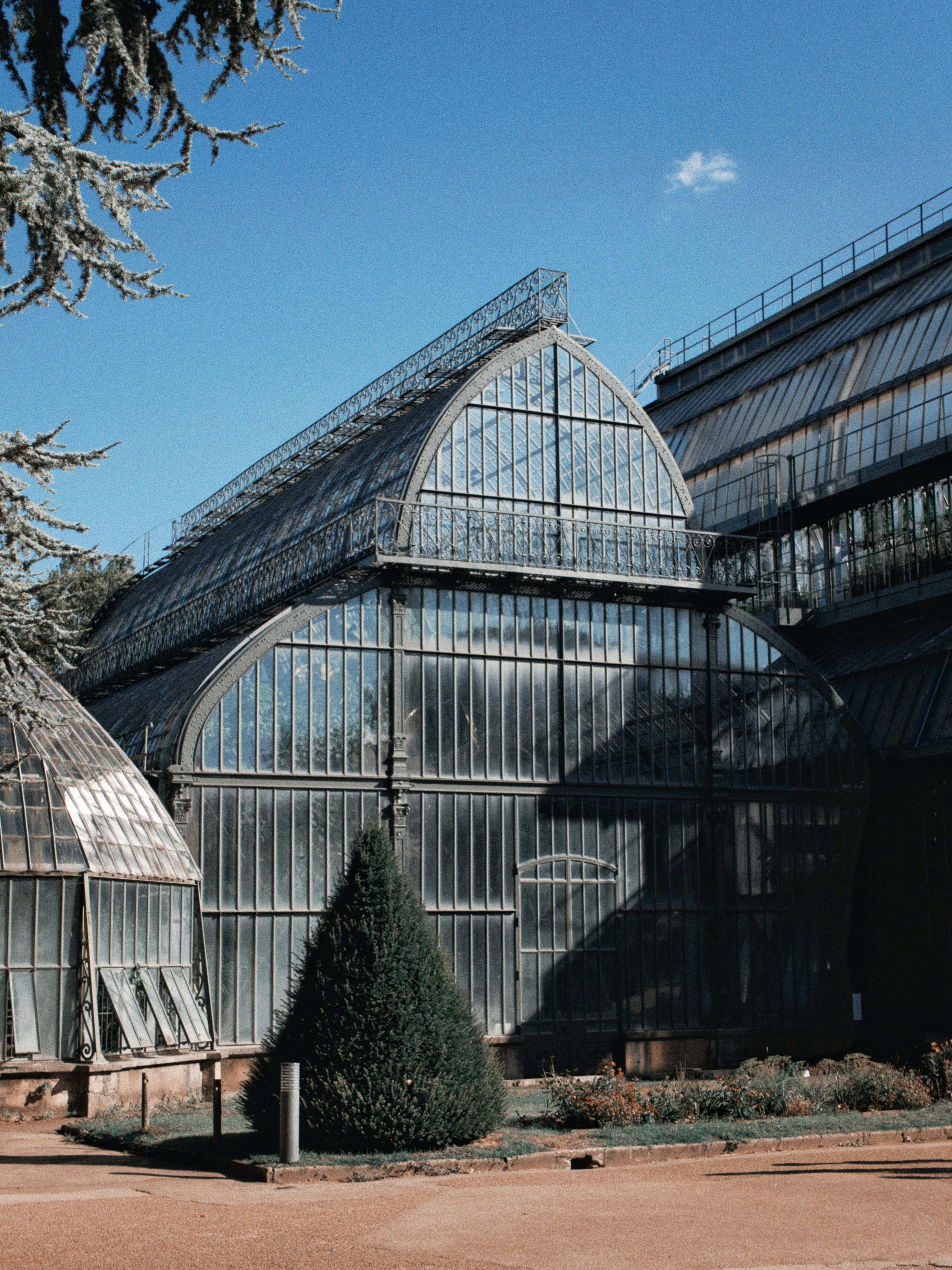 Ein großes Glasgewächshaus mit gewölbten Dächern unter klarem blauen Himmel