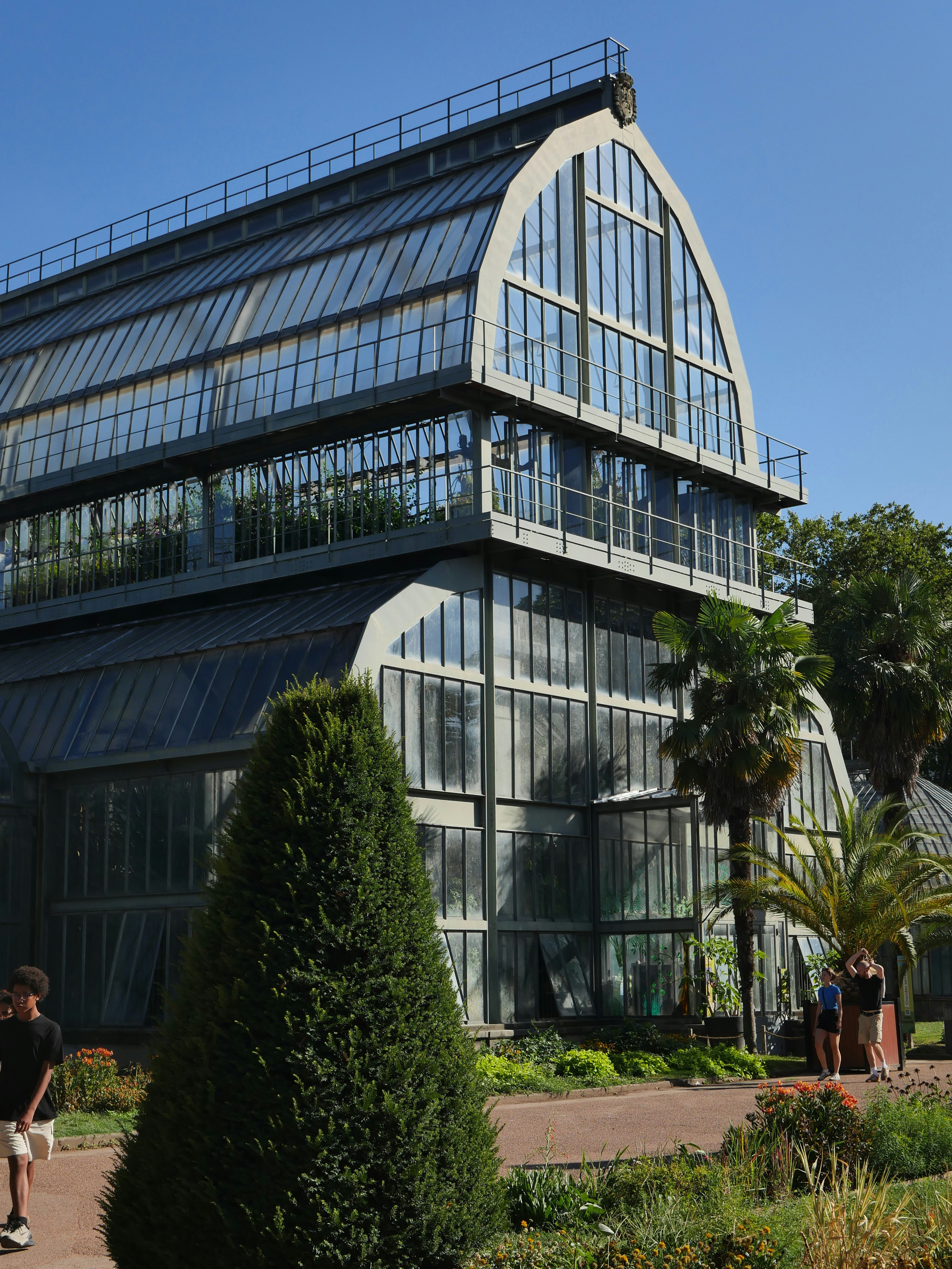 Ein großes Glasgewächshaus mit Metallrahmen in einem Park mit Palmen
