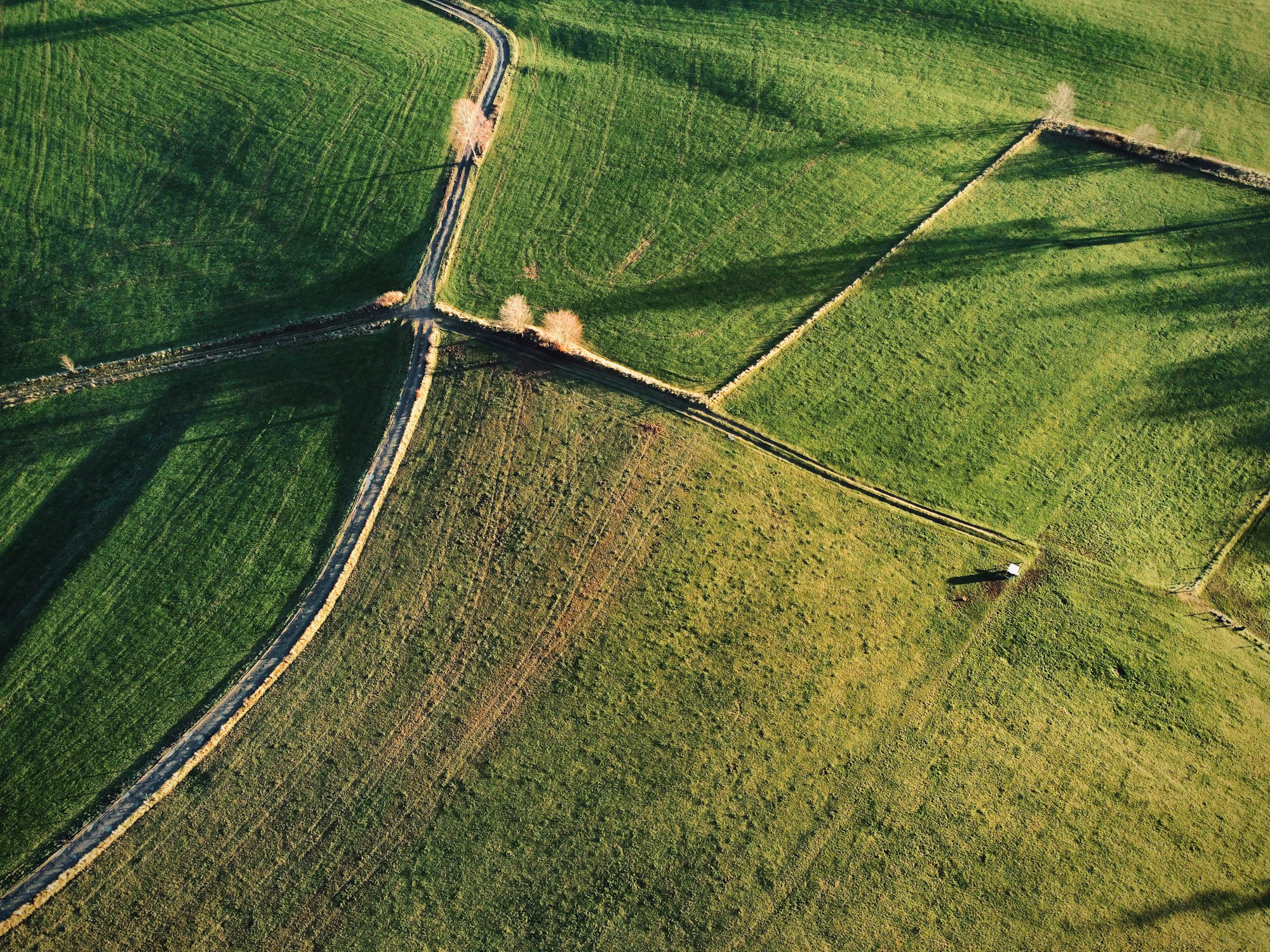 Aerial view of open pasture bordered by a paved country road, a farm track and old field walls