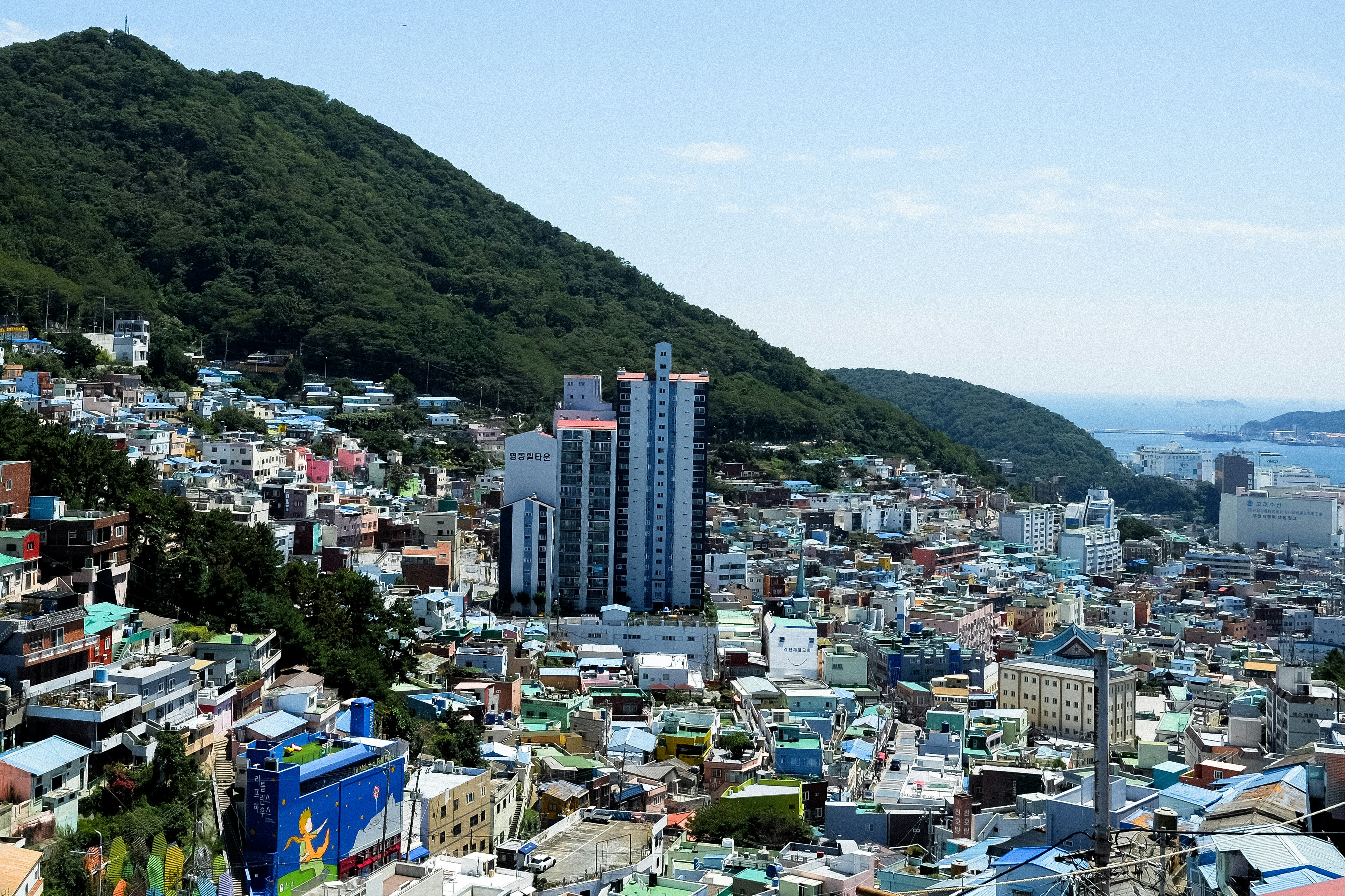 동해시청 여권발급 위임장 없 꼼꼼하게 정리된 블로그용 카드뉴스 썸네일