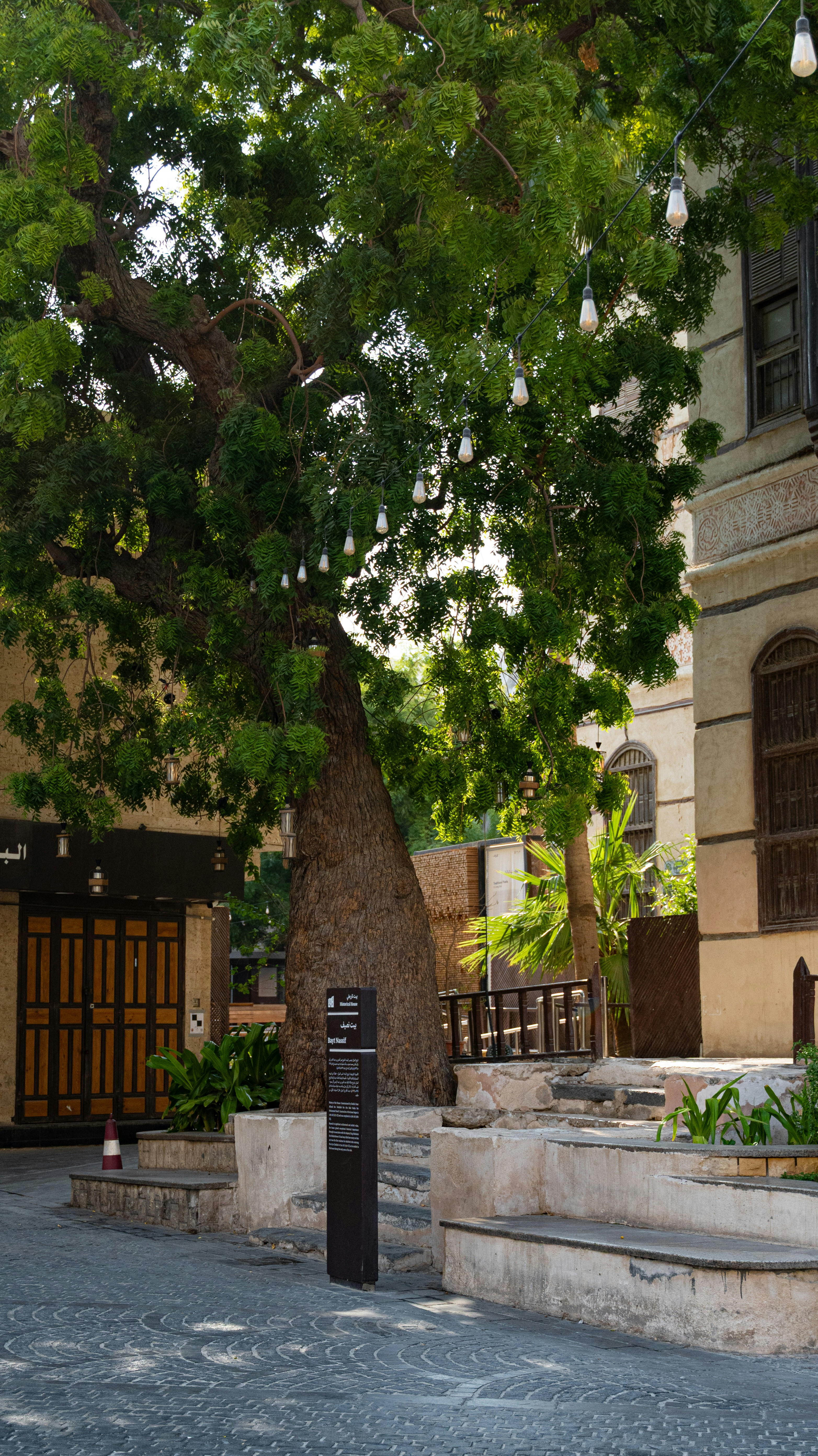 A large tree with string lights in the historic Al-Balad district of Jeddah