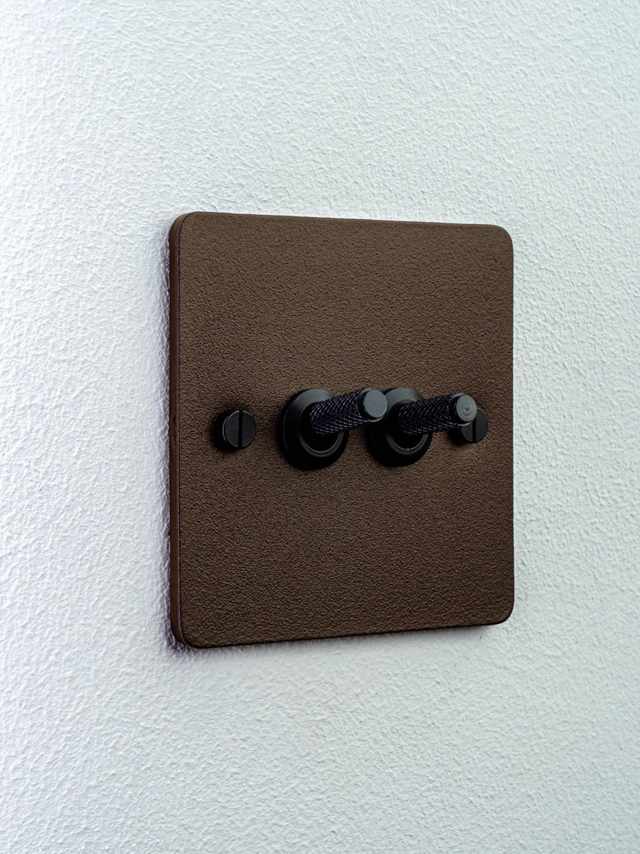 A bronze plate with two toggle switches