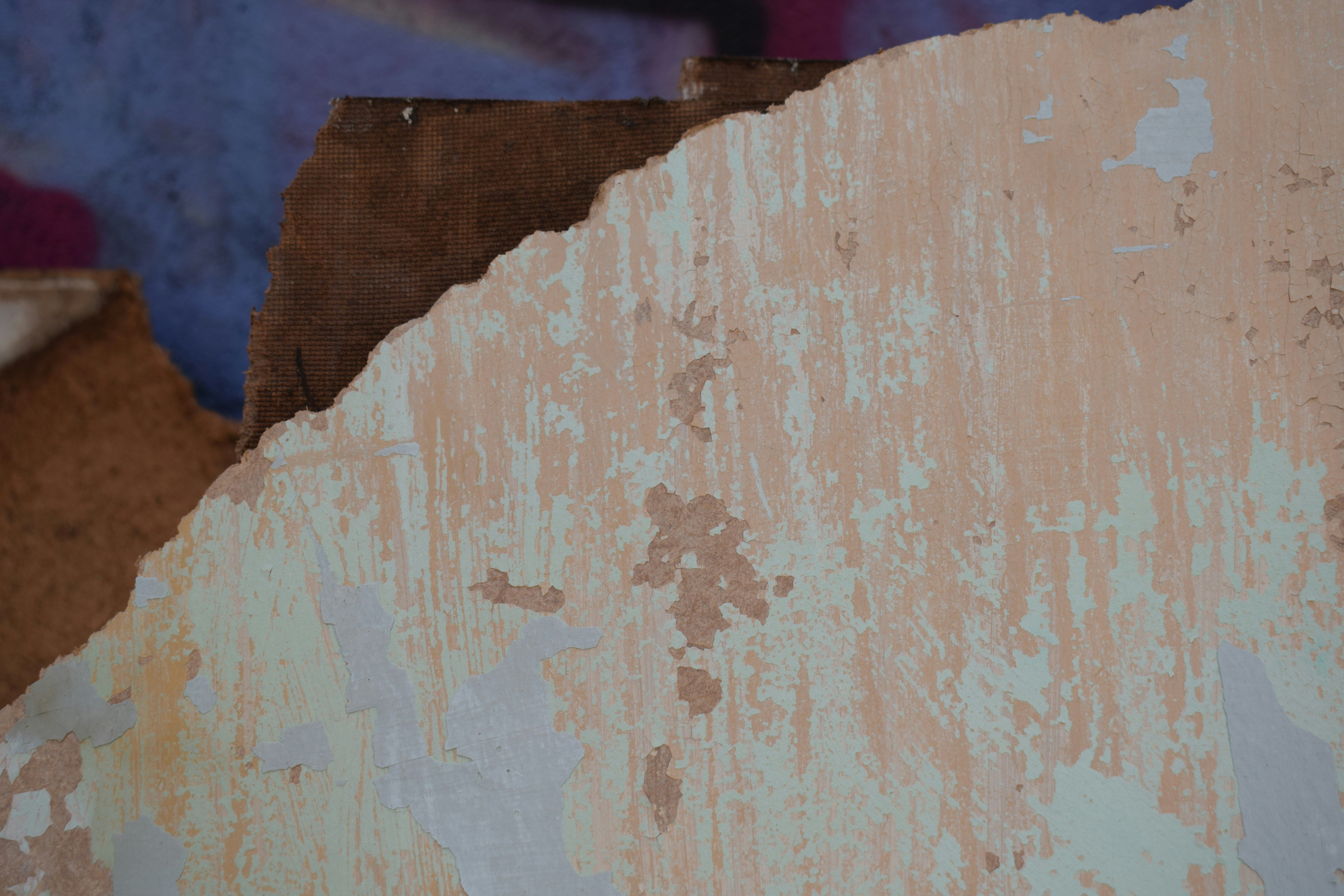 A piece of damaged wall with peeling light green paint over brown plaster