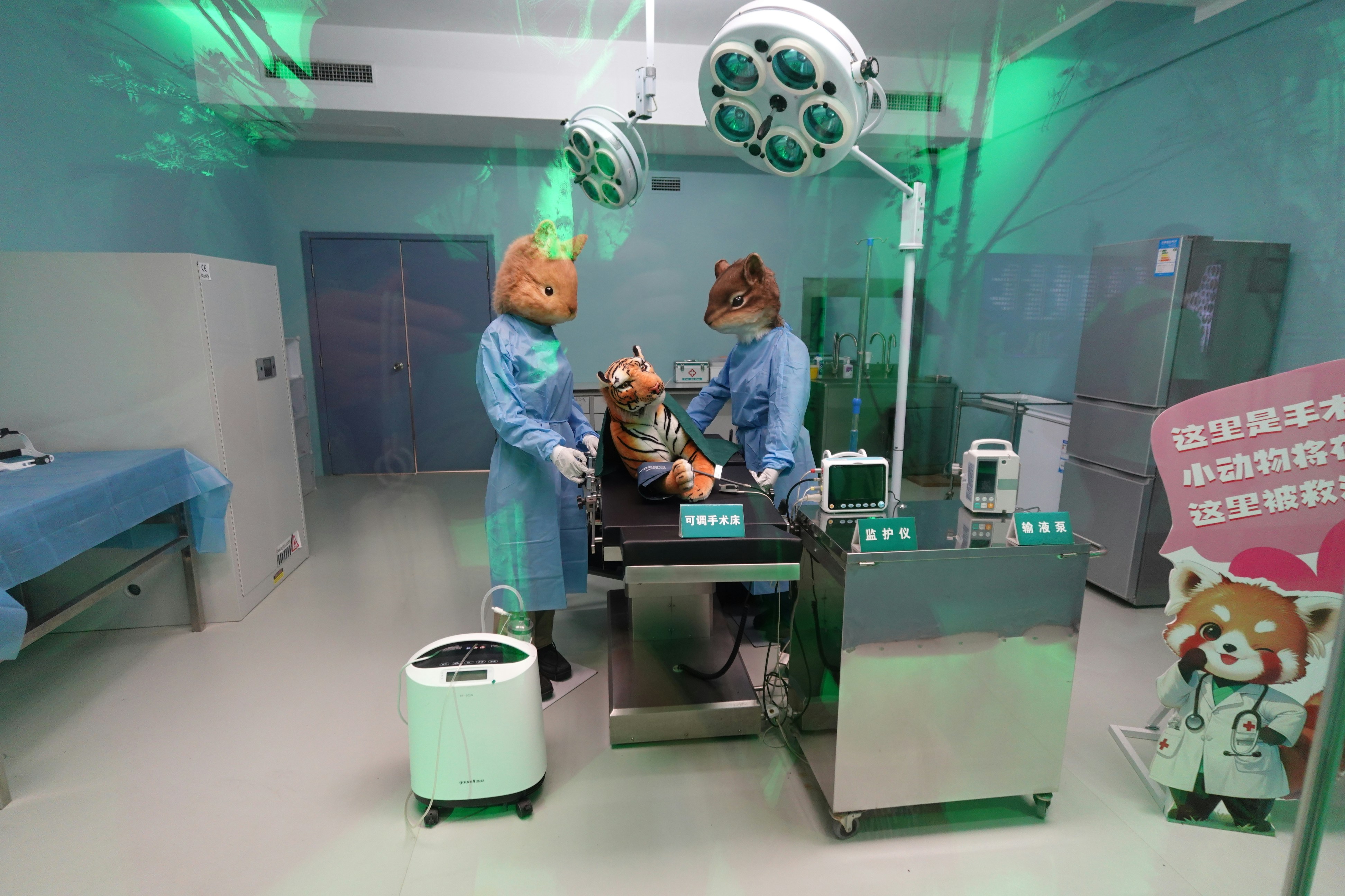 Equipo veterinario realizando una cirugía en el quirófano