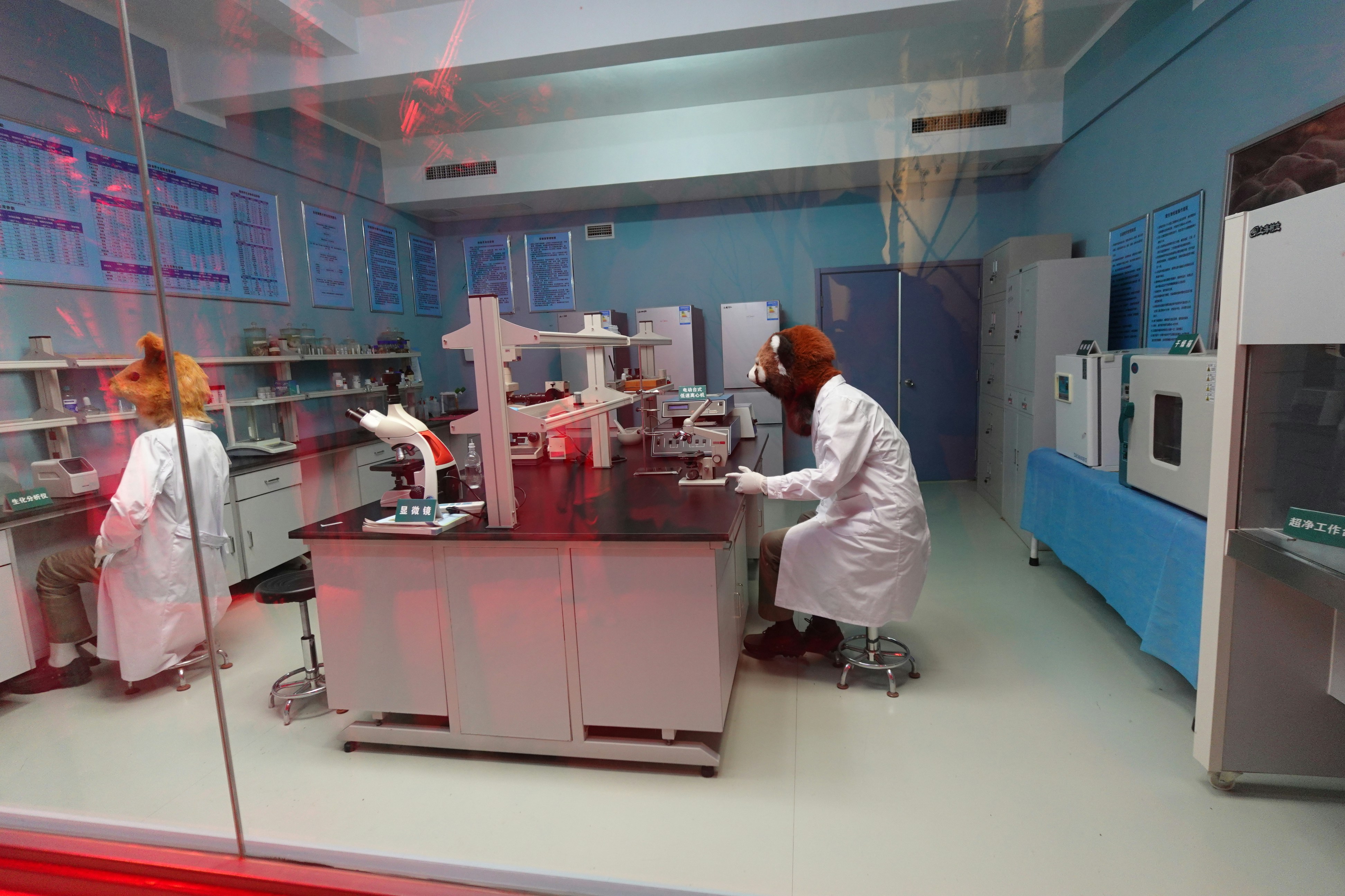 广西吉祥生物医学研究中心医学技术交流