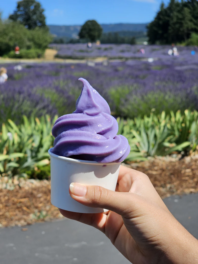 Ube Soft-Serve Frozen Yogurt