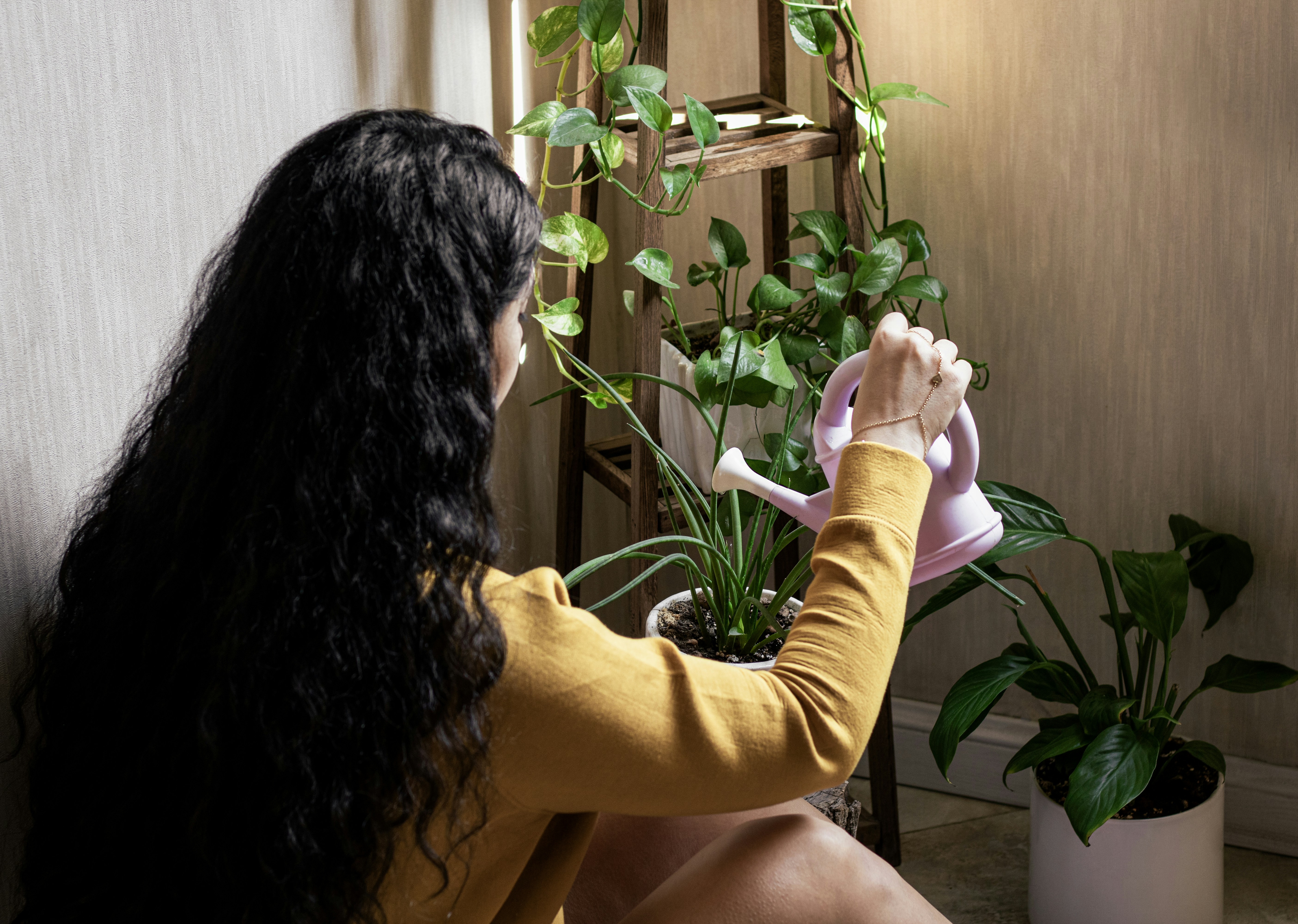 A woman with long dark hair watering indoor plants with a pink watering can