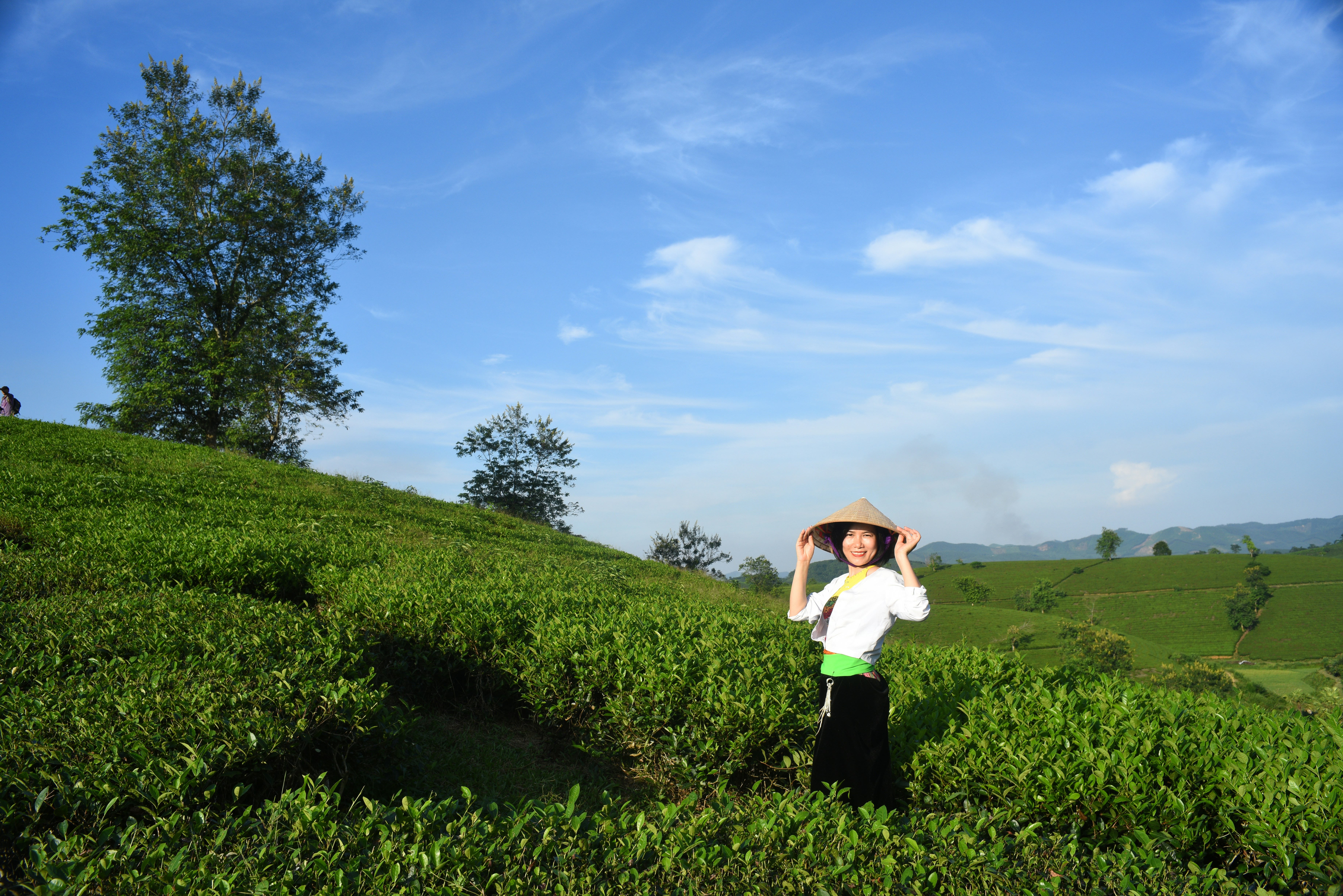 A woman wearing a conical hat in a lush green tea plantation