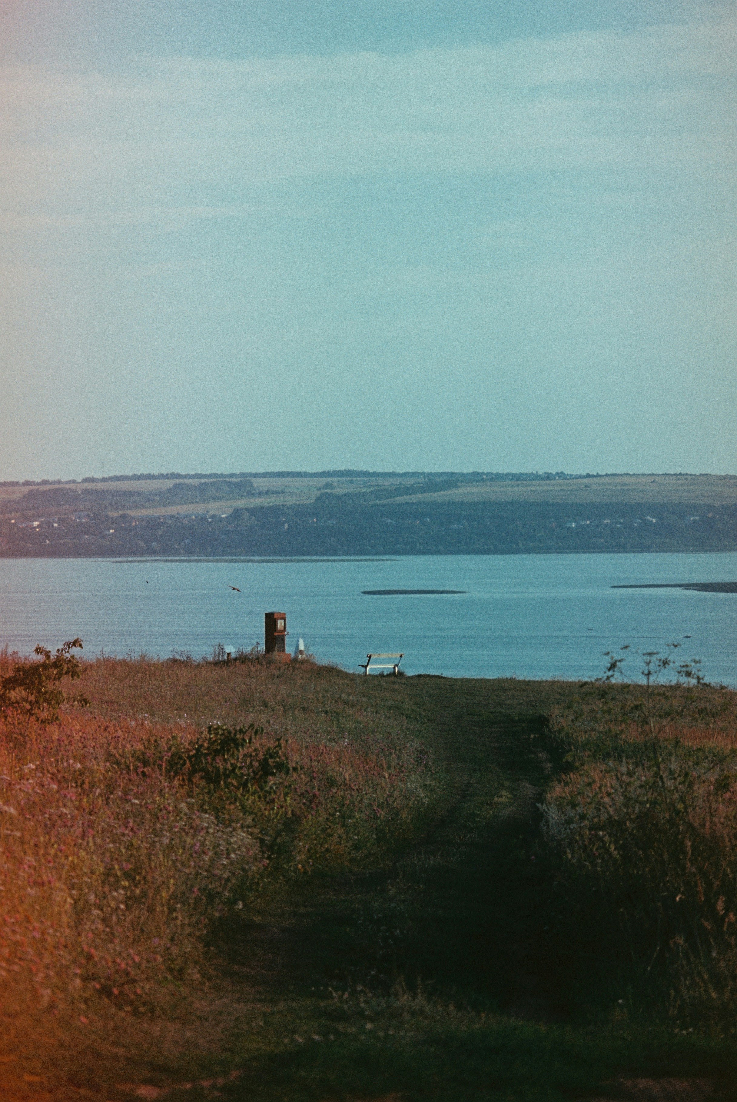 Ein Feldweg durch eine Wildblumenwiese, der zu einer Bank an einem See führt