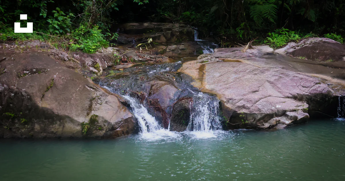 Green Pool Water Rocks Waterfall cascading into green forest pool - Free Photo on Unsplash