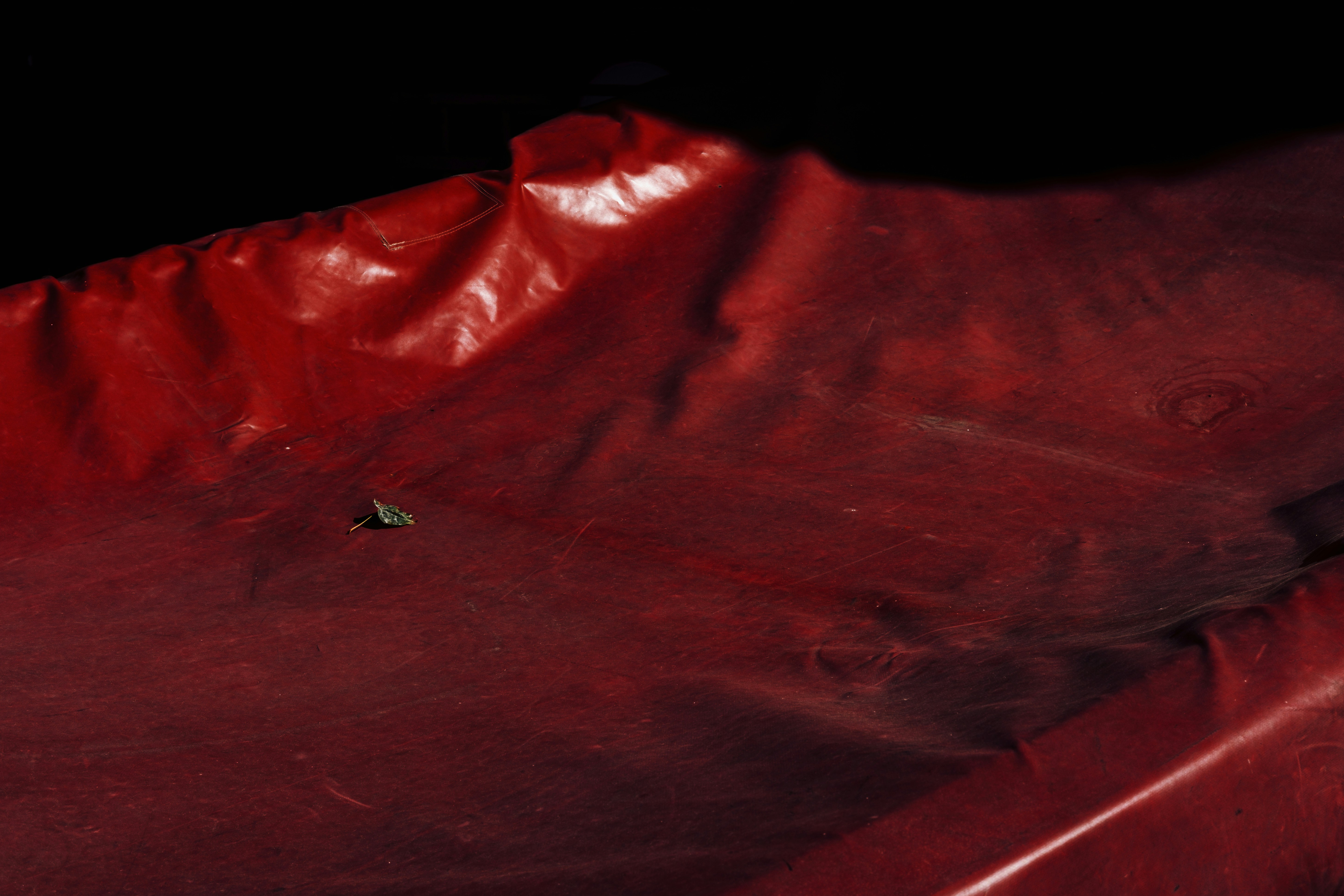 A single green leaf on a creased red vinyl surface in deep shadow