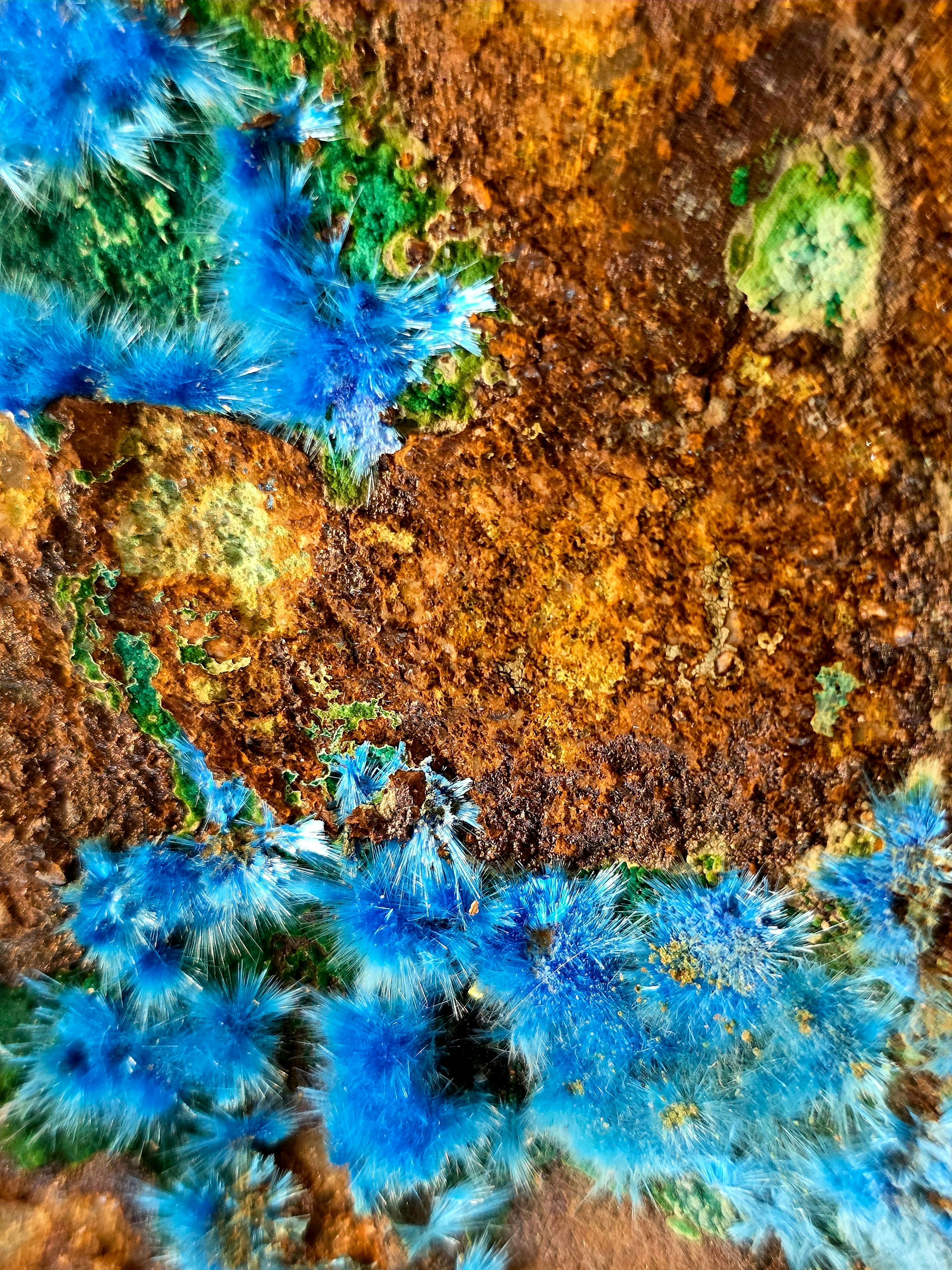 Bright Blue Needle-like Crystals Growing on a Textured