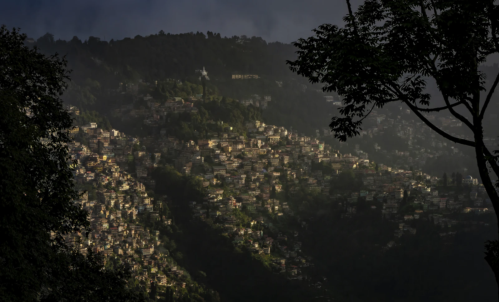 Darjeeling's houses stacked down a forested ridge, lit by a shaft of low sun beneath dark cloud