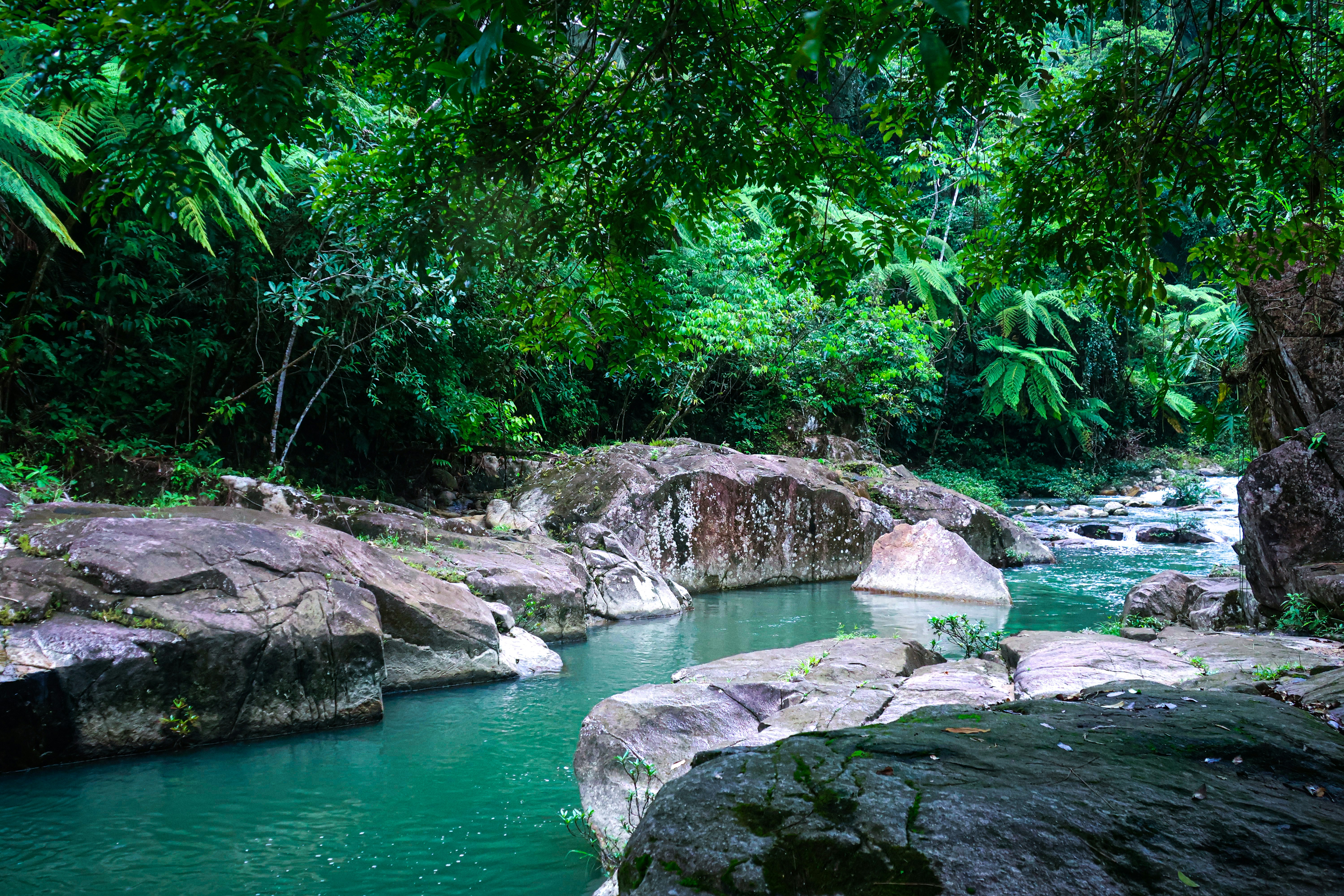 A turquoise river flowing between large mossy rocks in a lush tropical forest