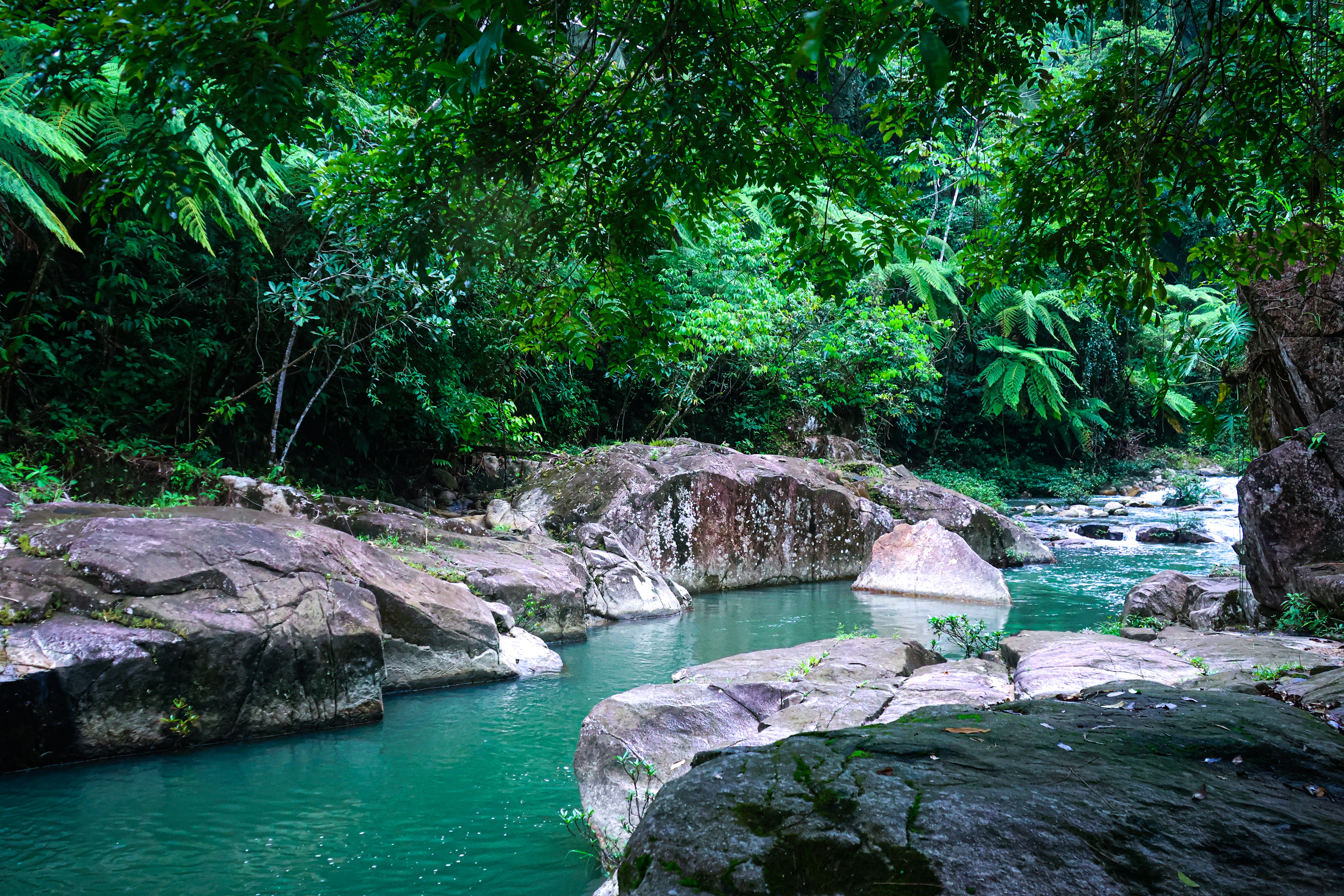 A turquoise river between mossy boulders in tropical forest in the Stann Creek District, Belize
