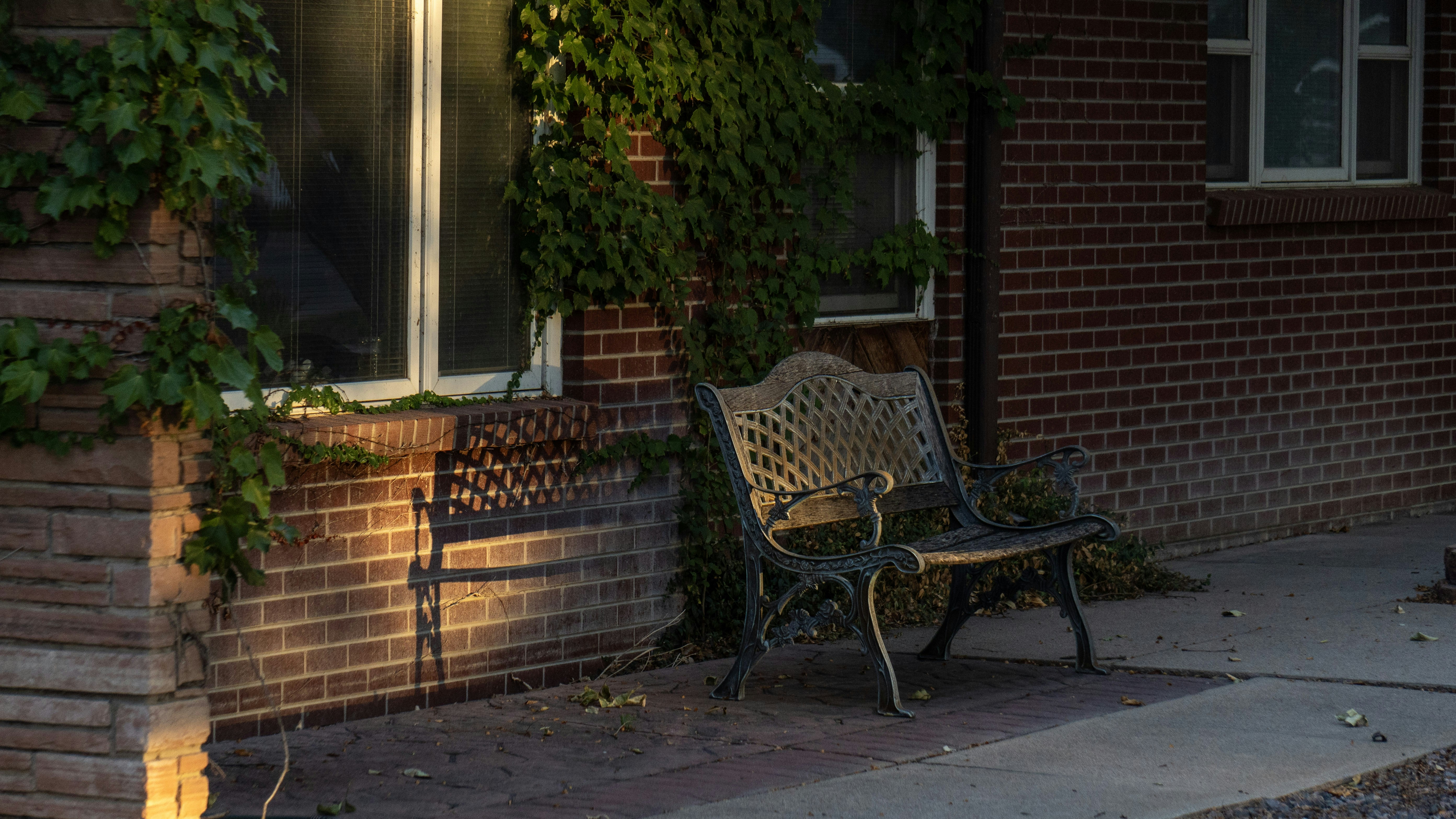 A metal bench on a brick patio beside a wall with climbing ivy