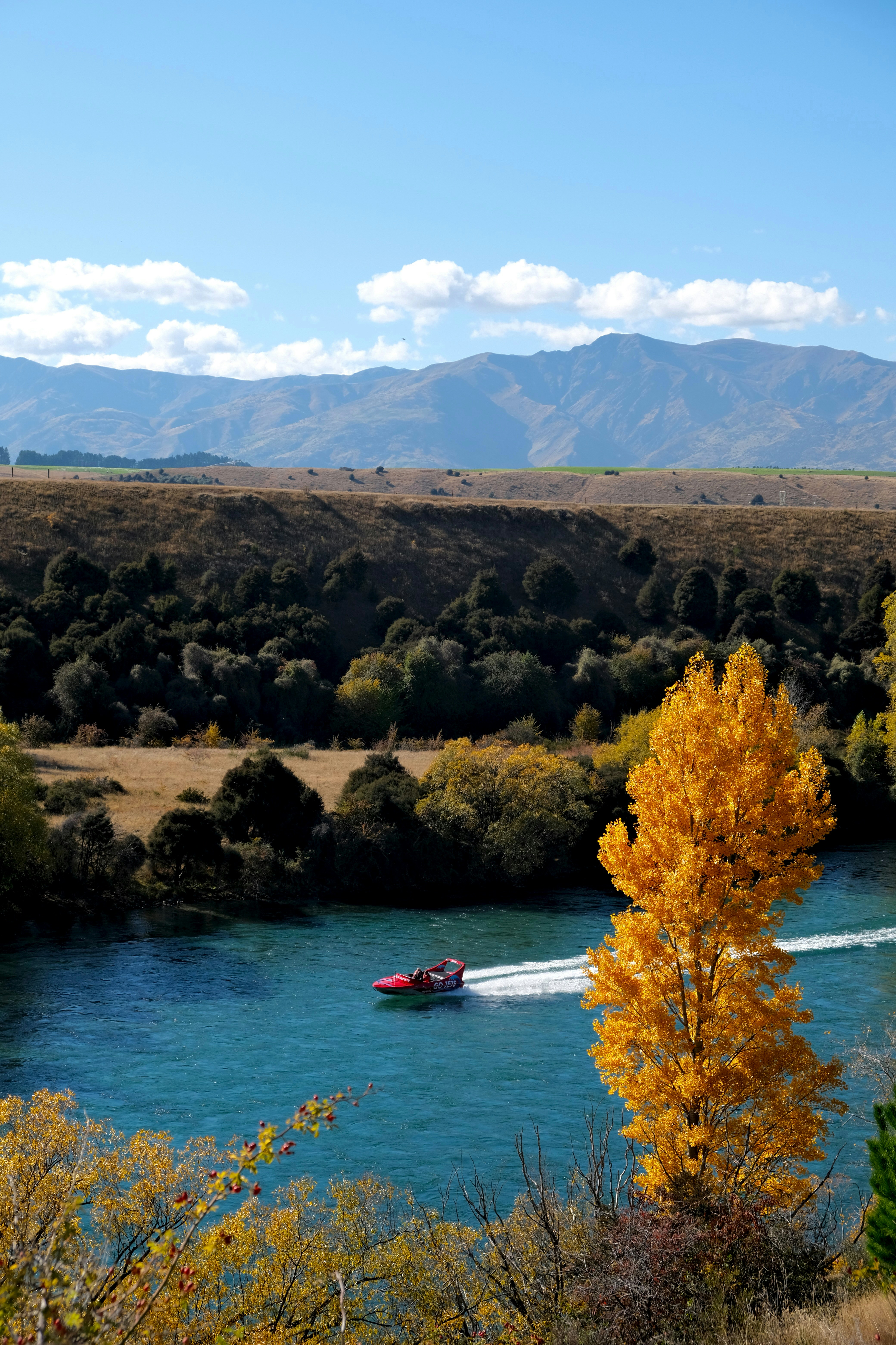 Una barca a reazione rossa che sfreccia lungo un fiume blu accanto a un albero autunnale dorato