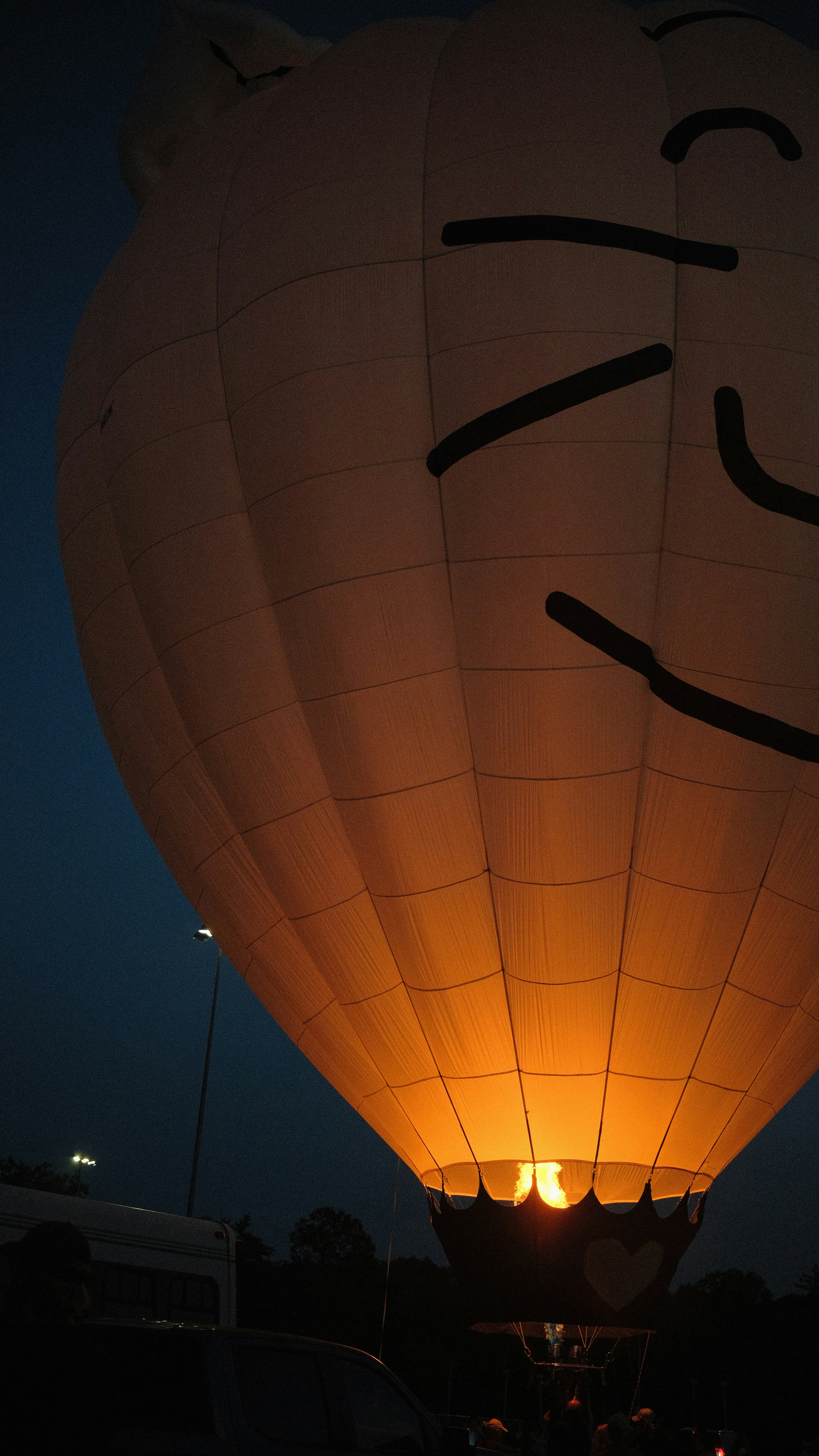 Hot air balloon with smiling face - Free Photo on Unsplash