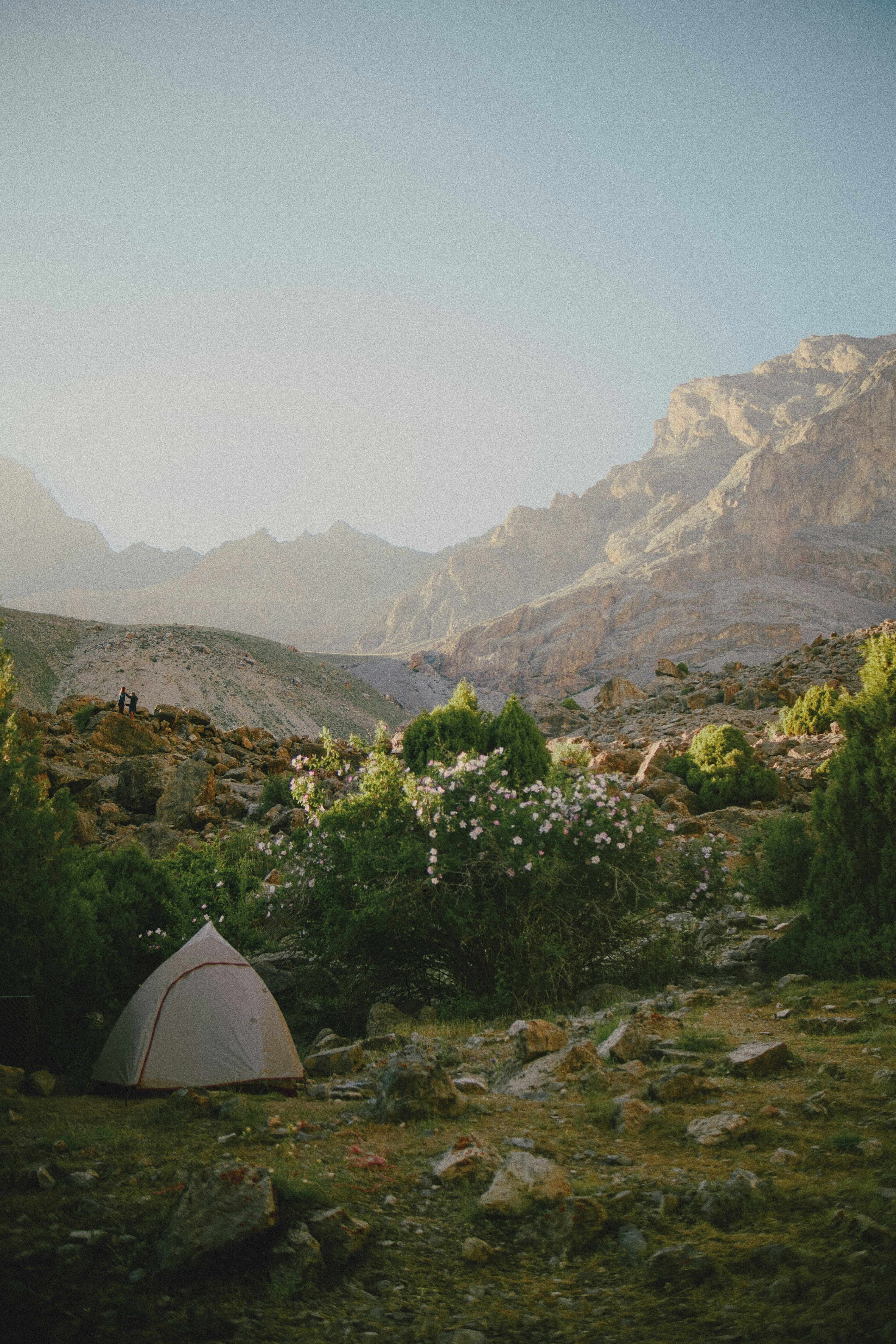 A tent in a rocky mountain valley with flowering bushes and distant peaks