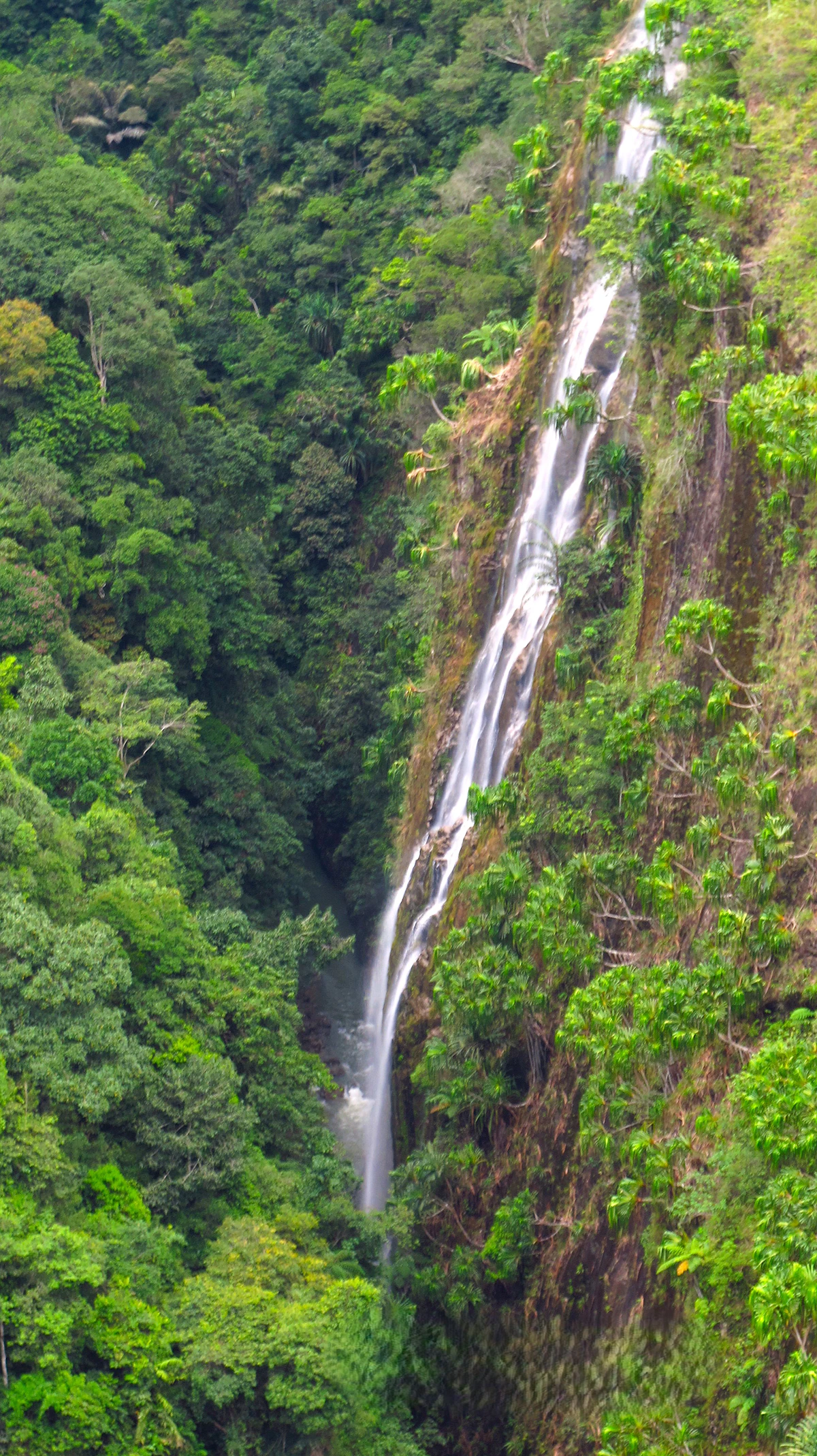 Chutes de Kaieteur