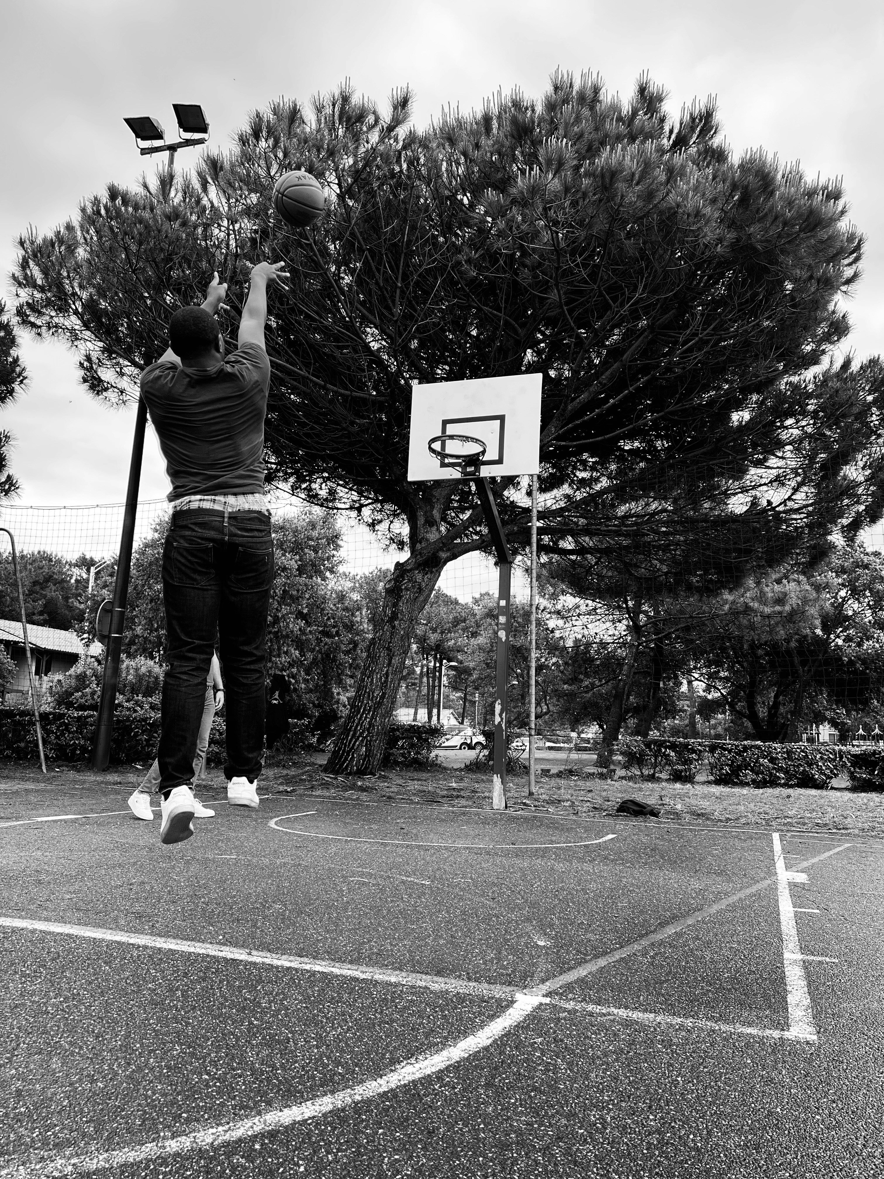 A person jumping to shoot a basketball on an outdoor court near a tree
