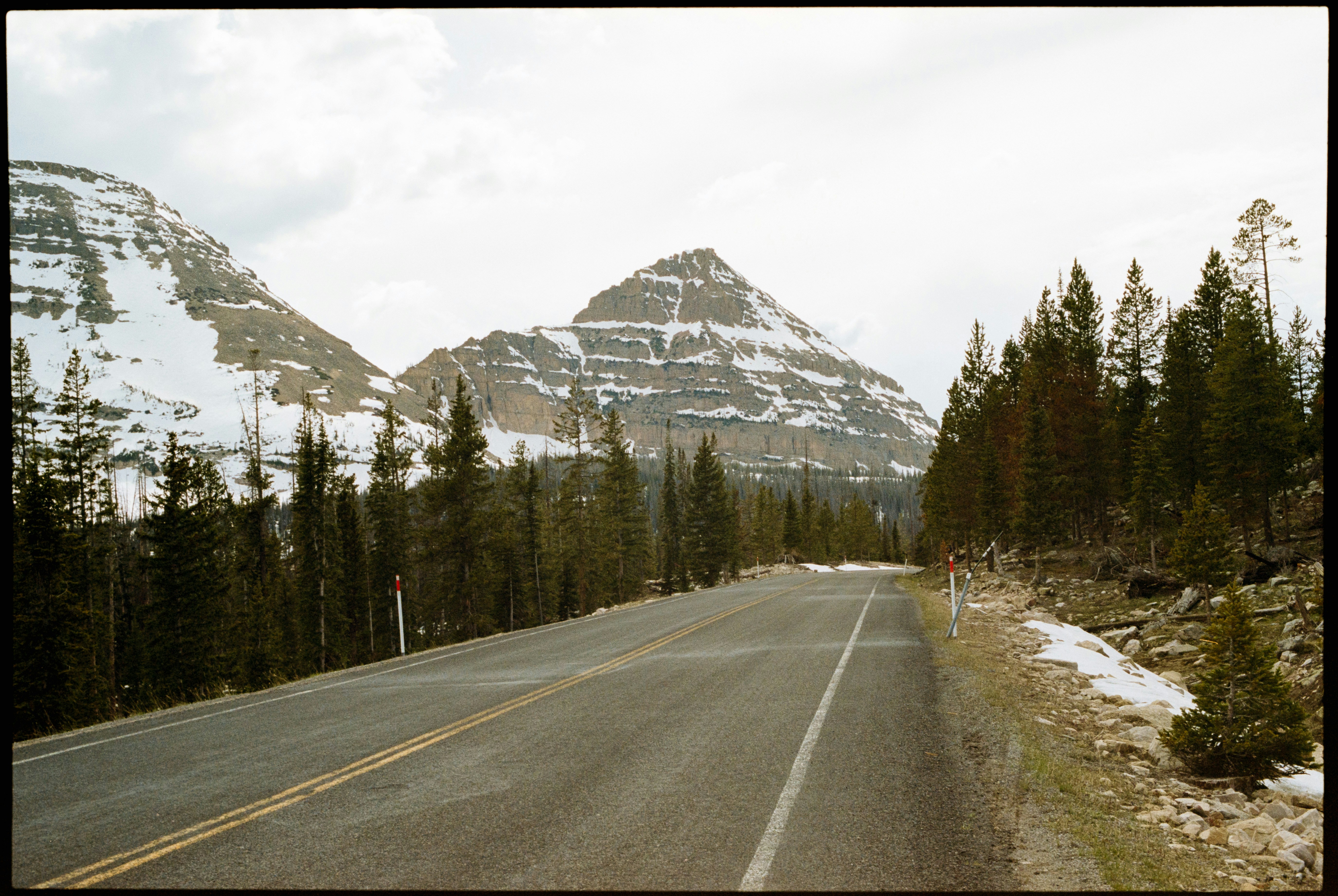 An asphalt road winding through a forest toward snow-capped mountains under a cloudy sky