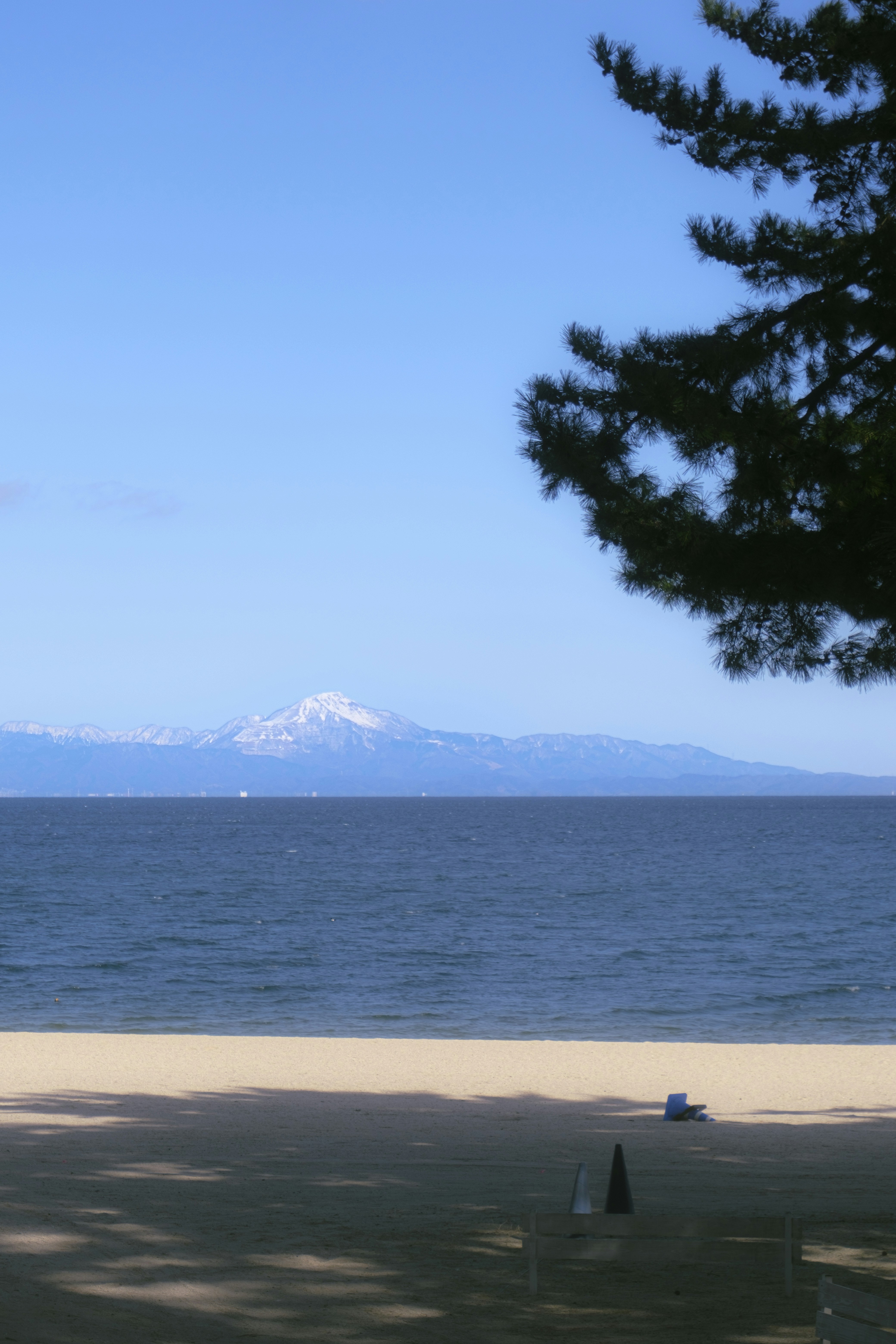 A sandy beach with a pine tree branch overlooking a snow-capped mountain range