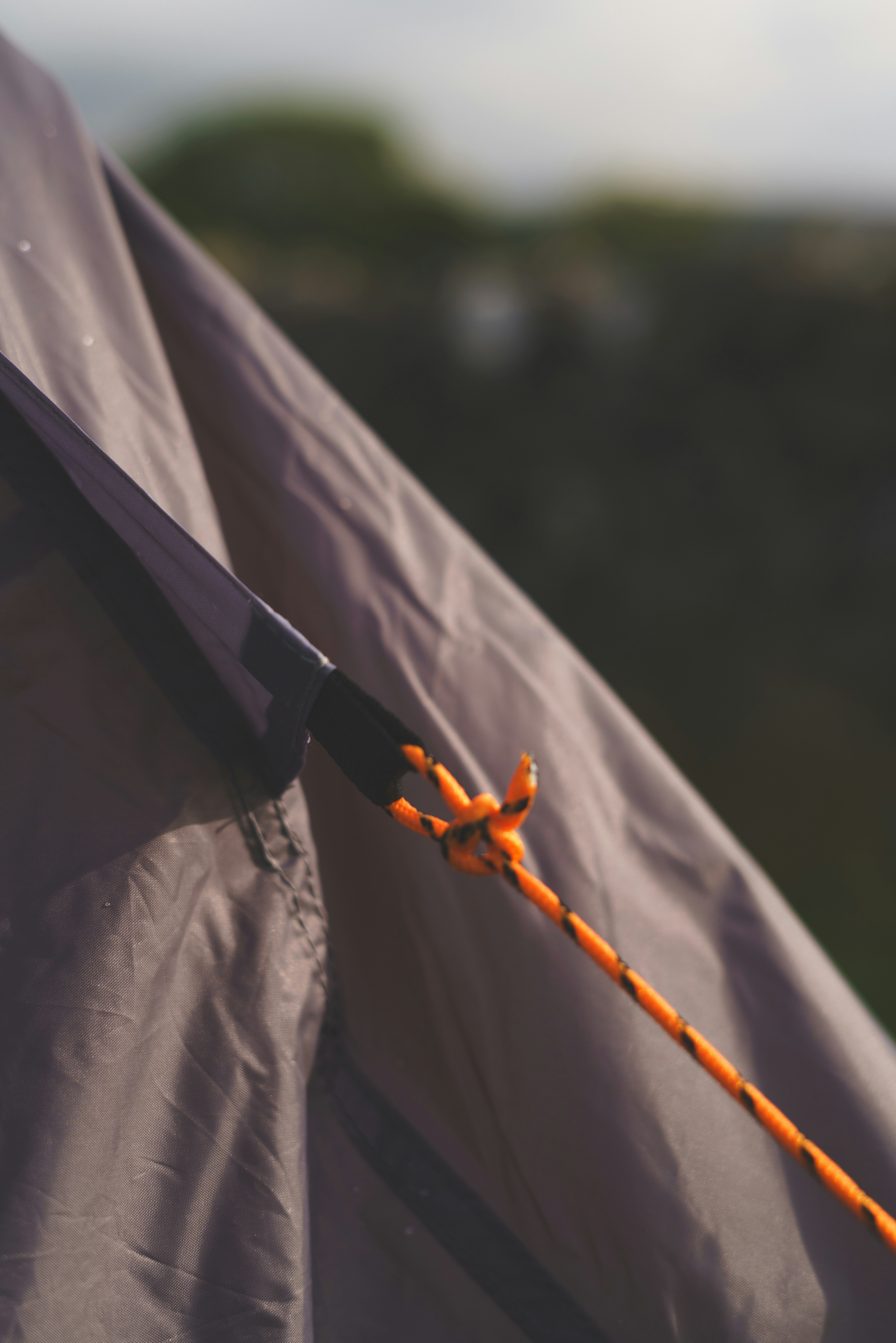 Orange guyline pulled tight from the corner of a gray tent fly, dark trees blurred behind