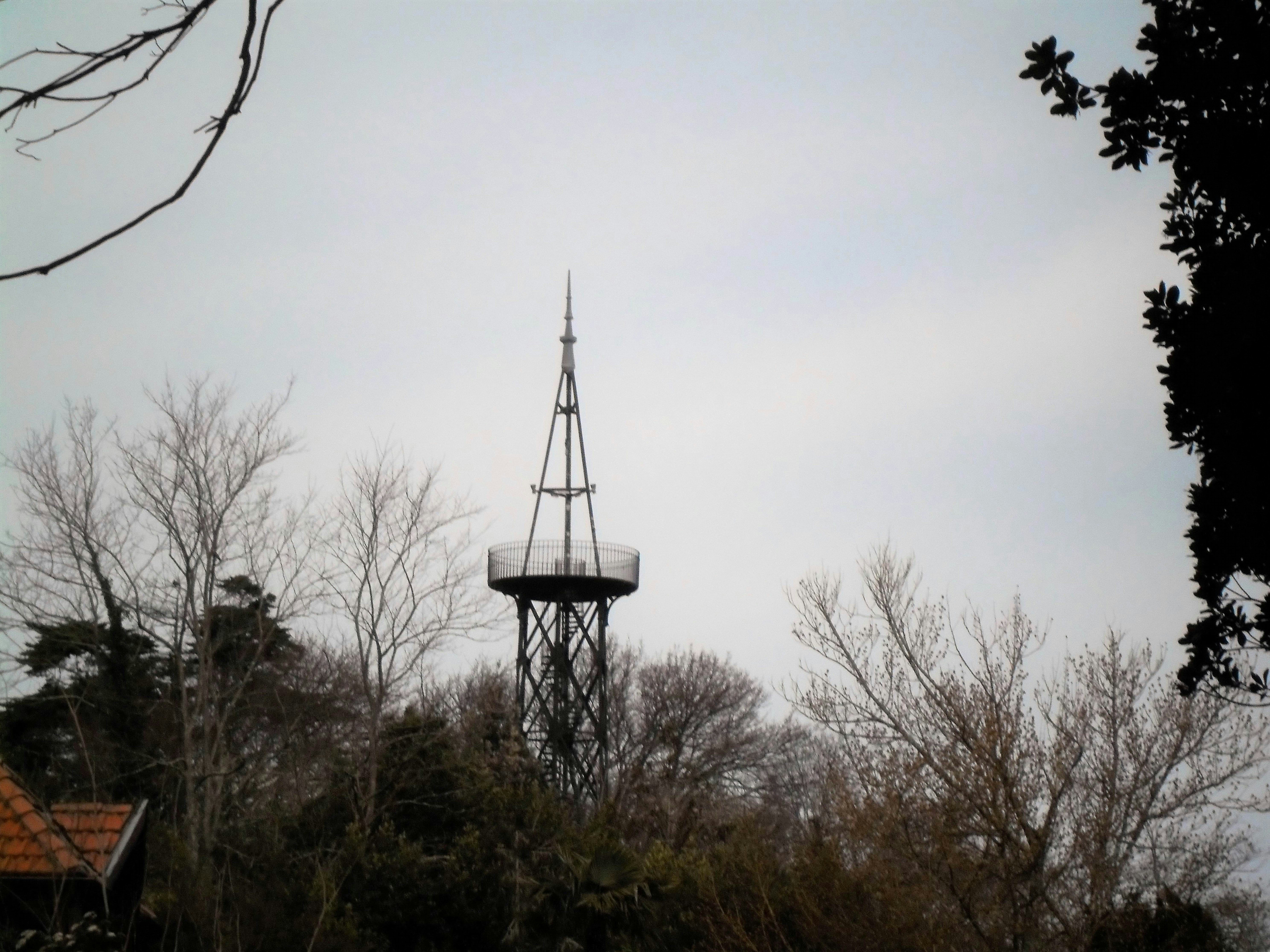 A tall metal observation tower rising above bare trees against a pale sky