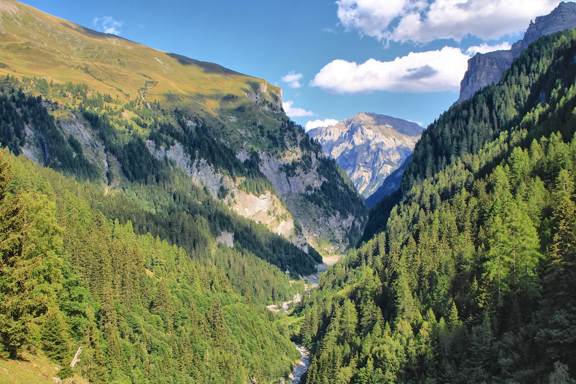 The Alps