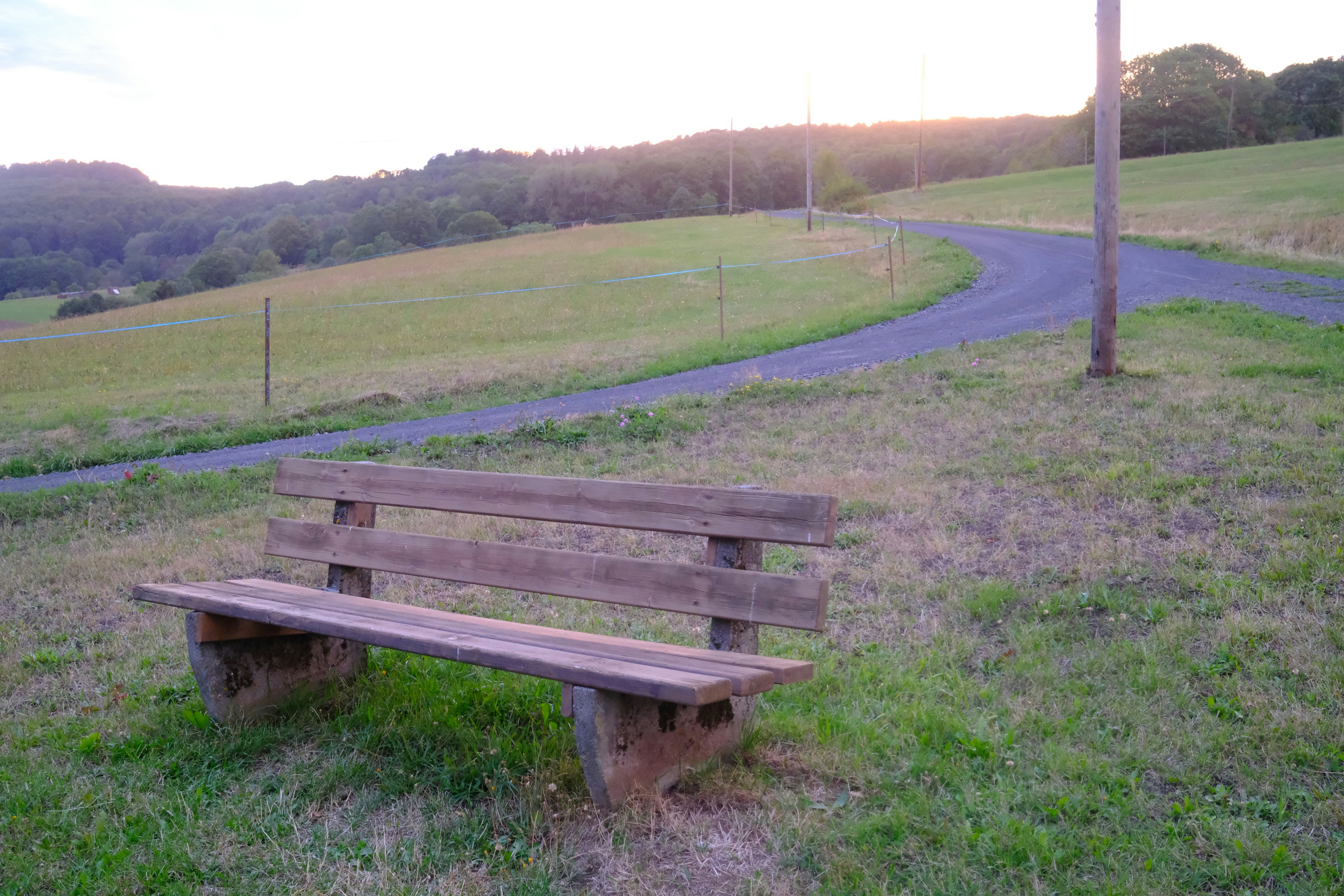 A wooden bench on a grassy hill beside a winding gravel path