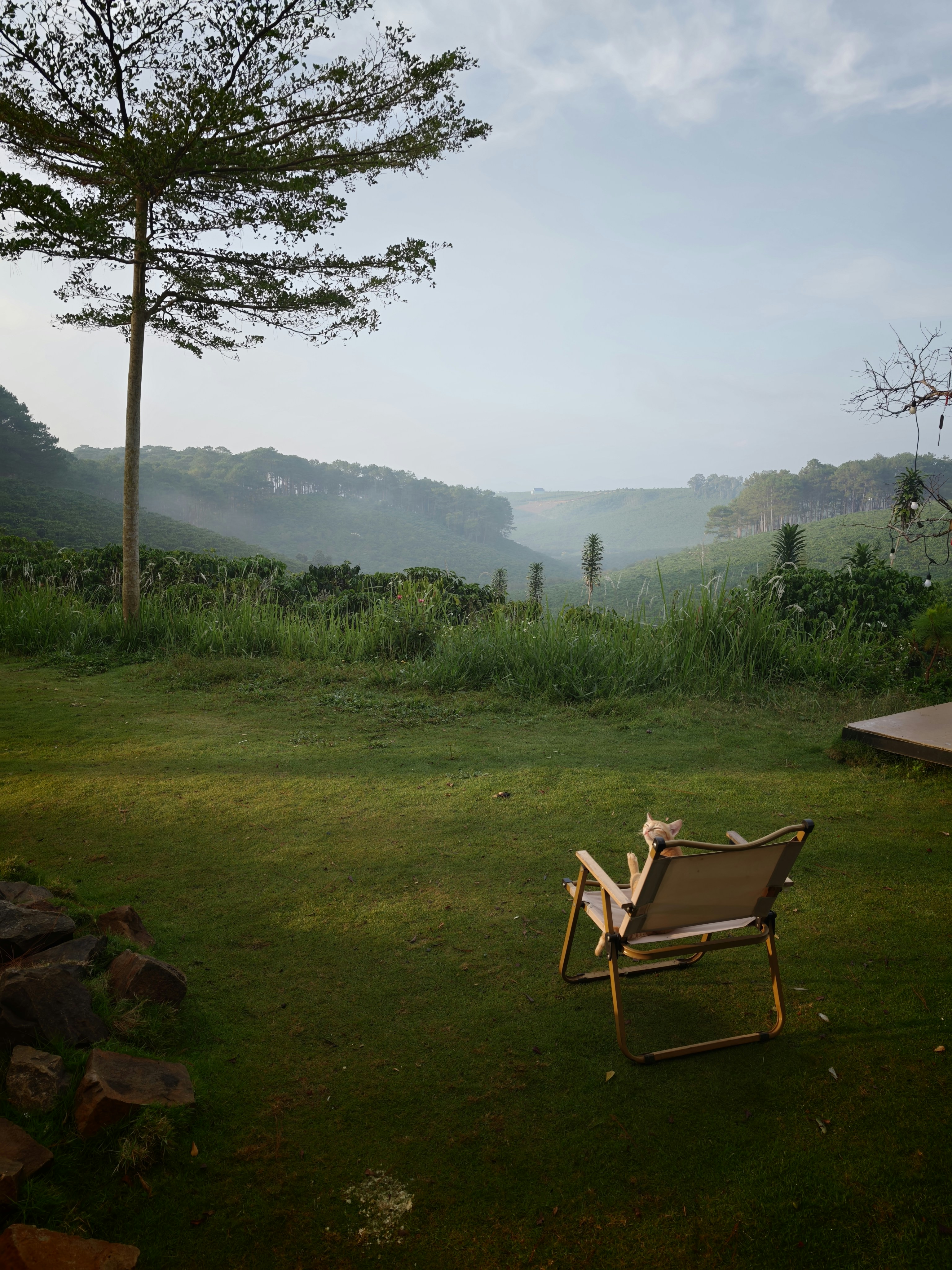 A cat in a folding chair on a grassy hill overlooking a misty valley